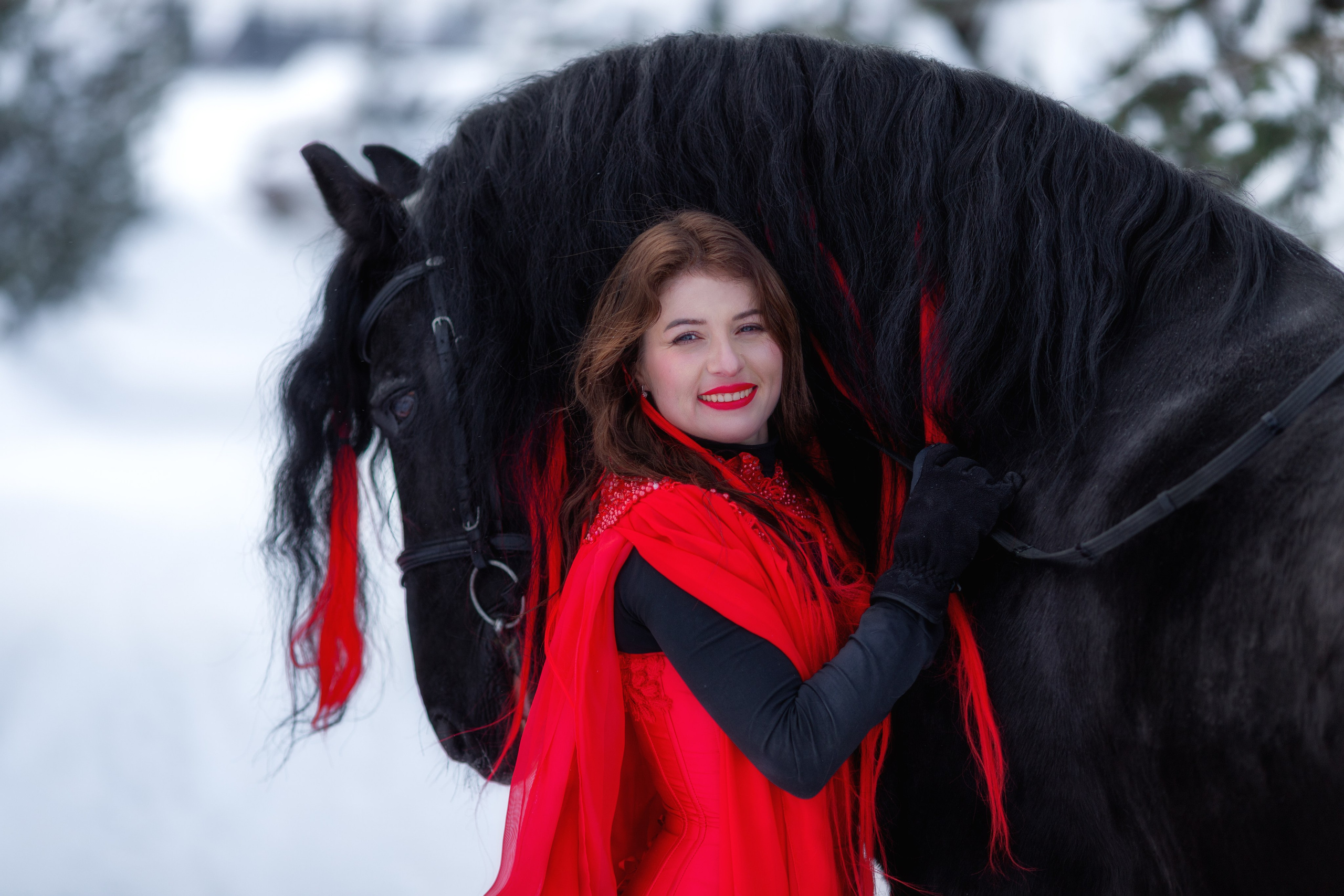 Фотосессия с лошадью зимой. Фотосессии с лошадьми в Москве от фотографа Кутейниковой Светланы