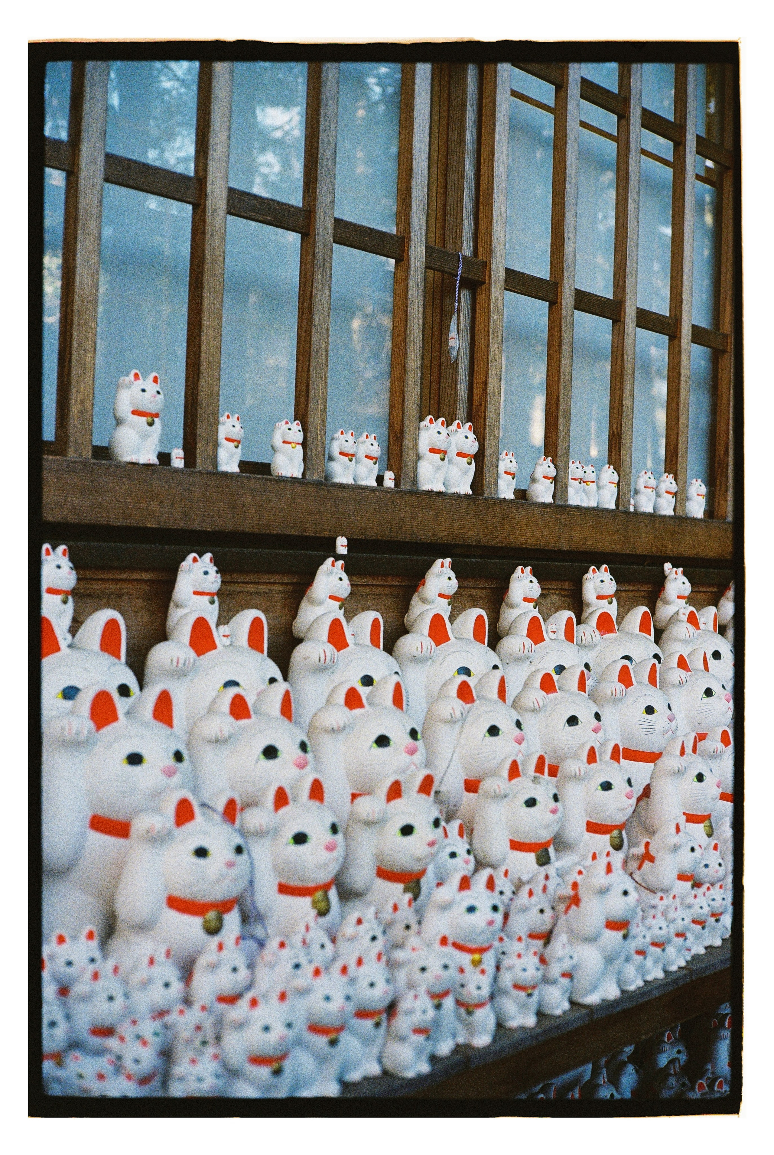 Japan. @tomrus: Рустам Шагиморданов — фотограф