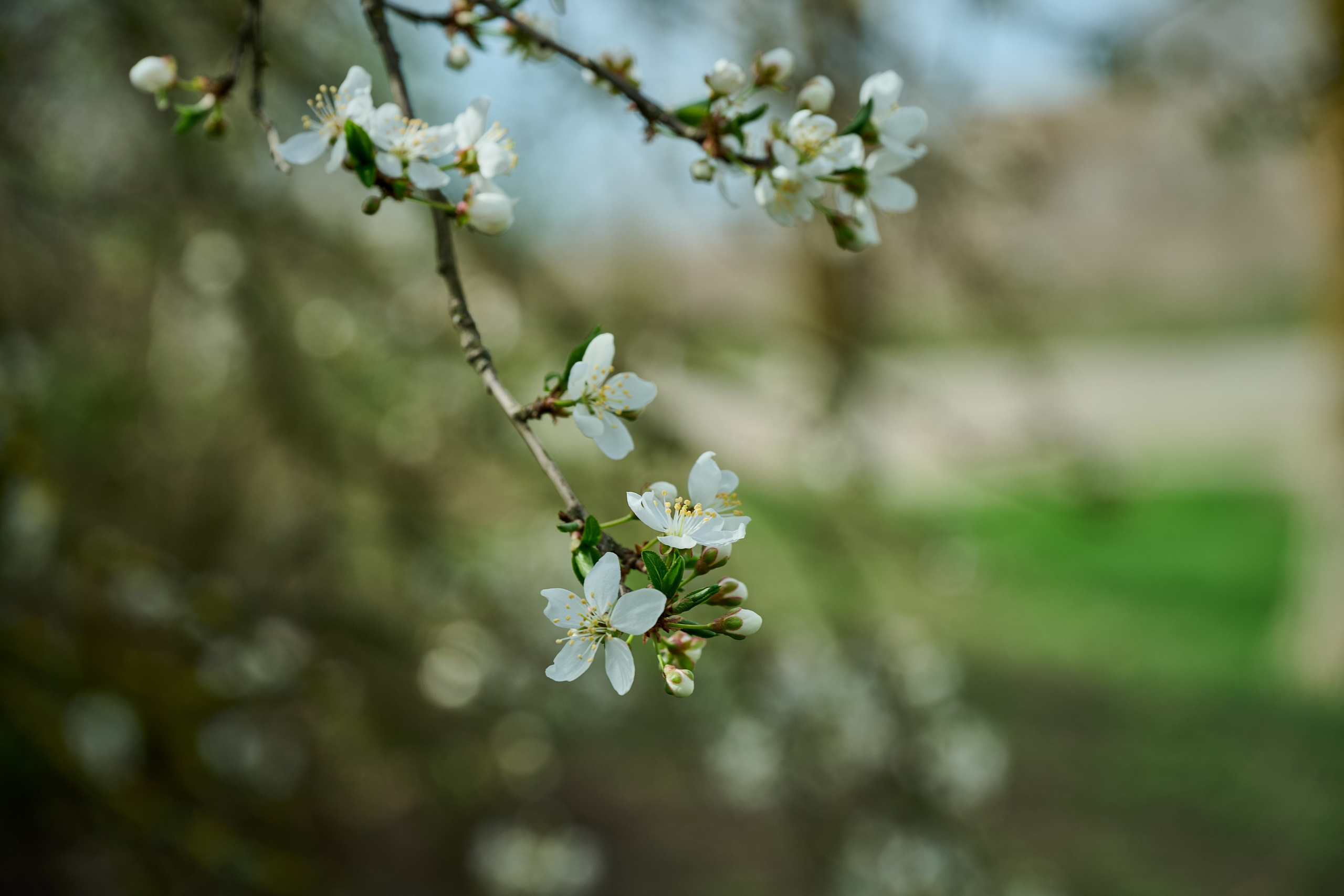 Мелитополь. Фотопроект «Территории»
