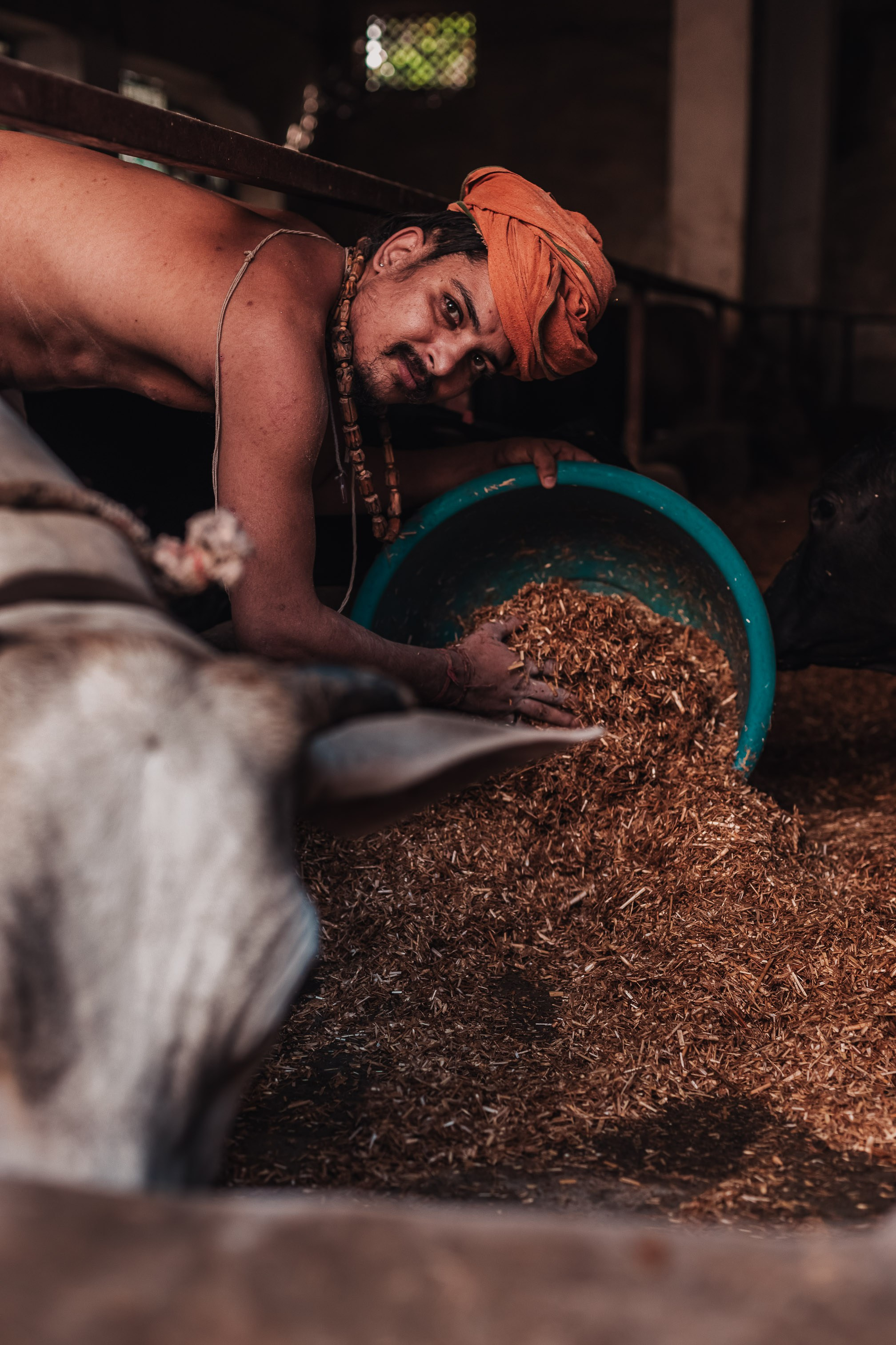 Devraha Baba Ji Ashram in Vrindavan. Мариам Багдасарян