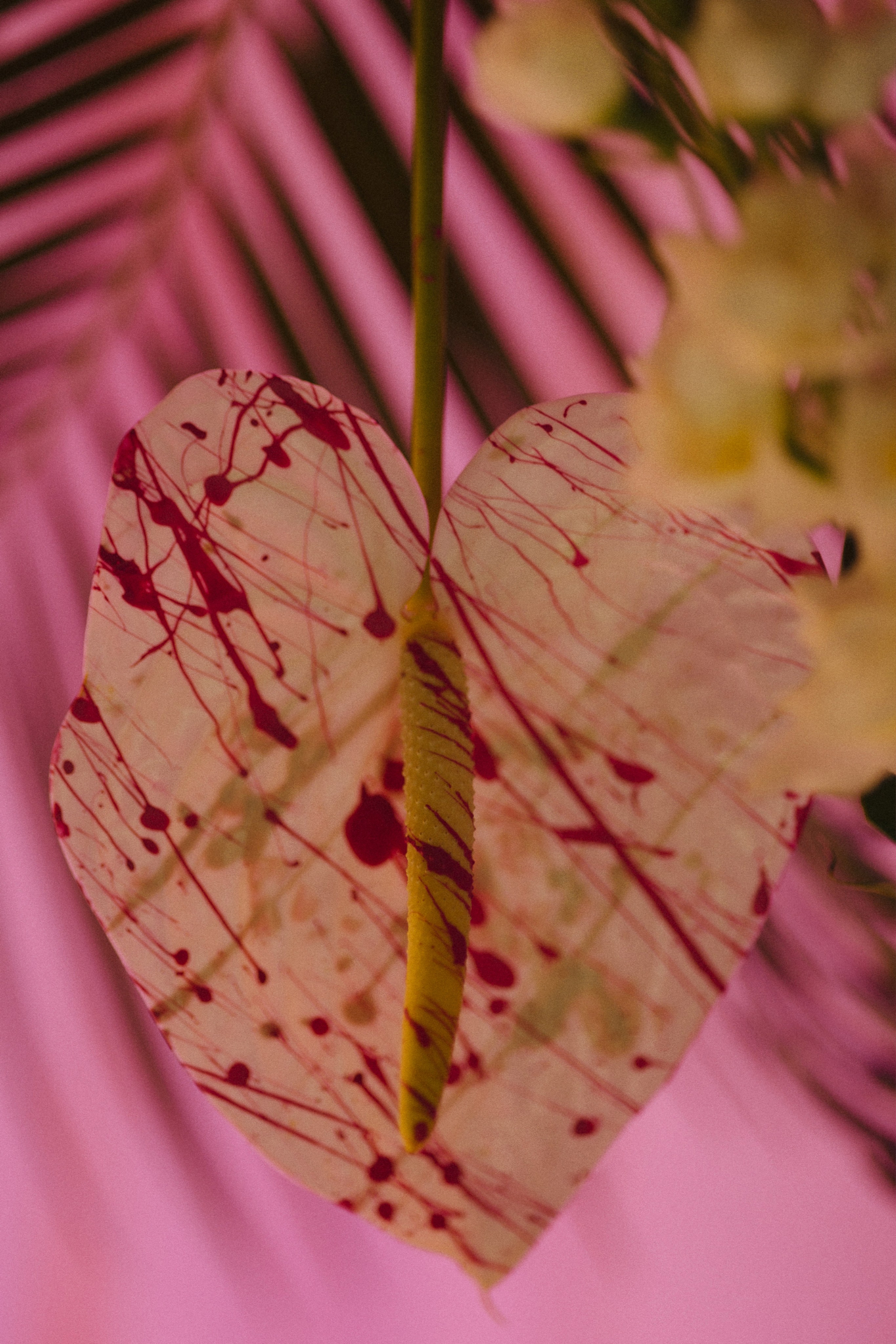 Nika & Nikita. Фотограф Илья Бурдун