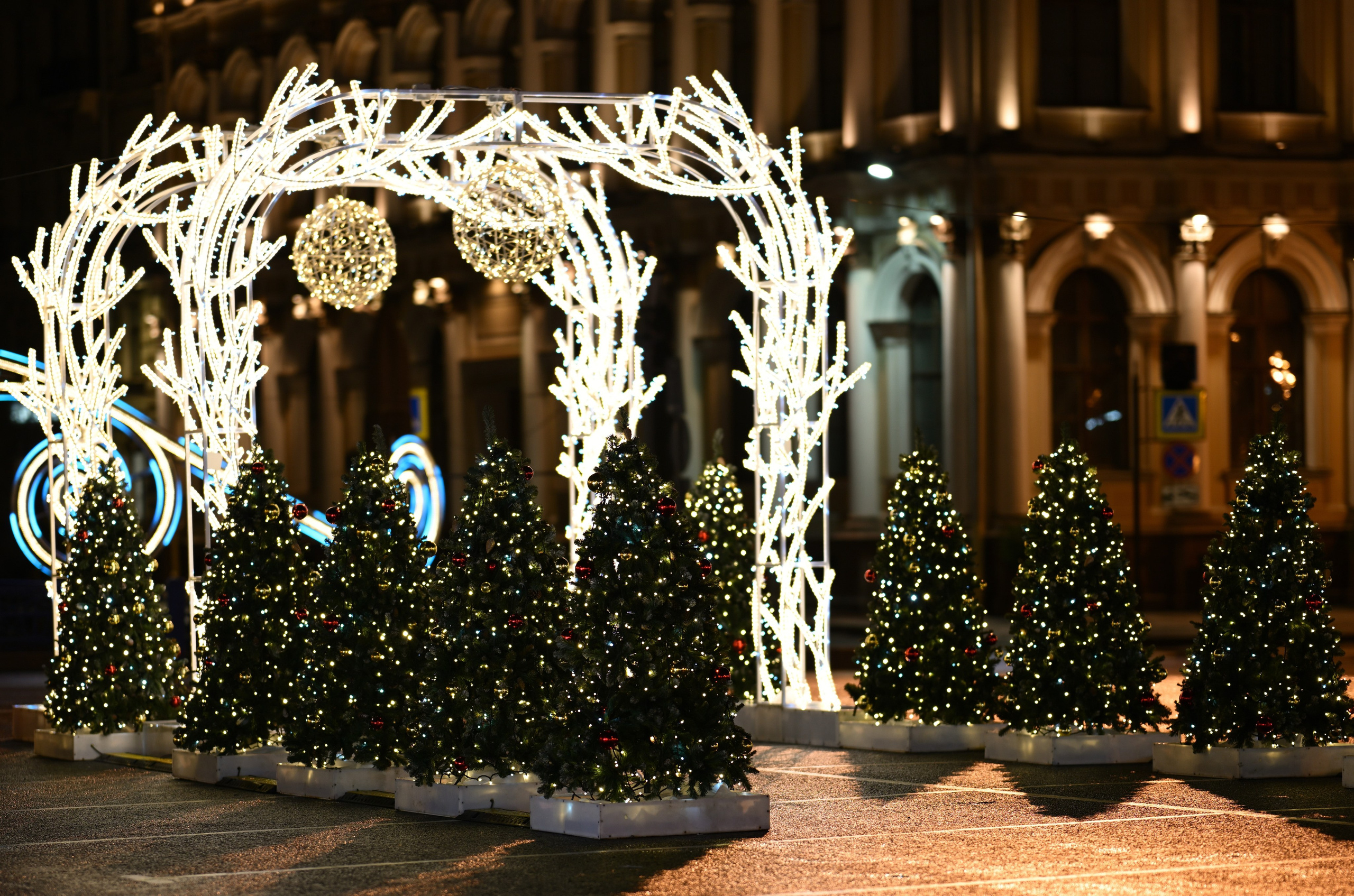 2025-2026 Санкт-Петербург. Фотосессии в центре и в парках Санкт-Петербурга