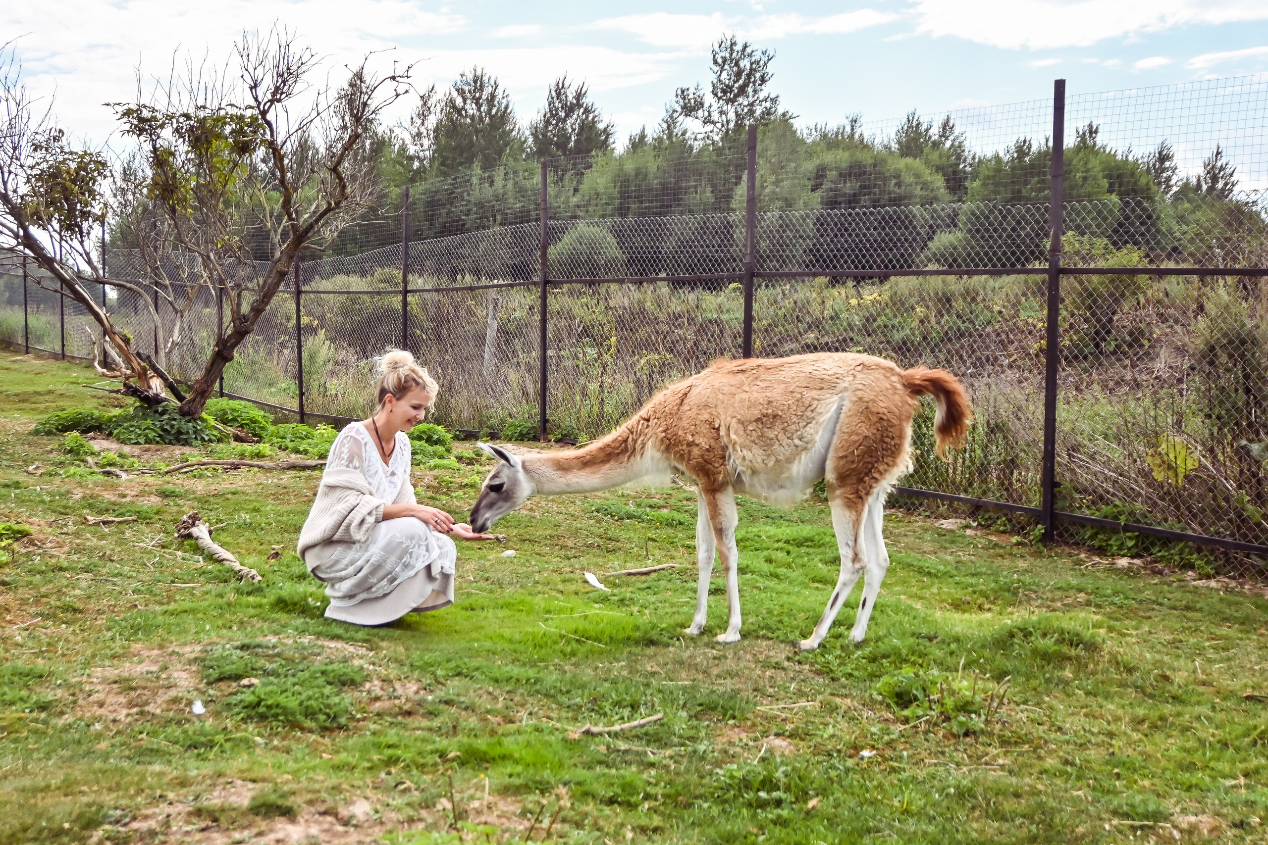 РАНЧО/ АВГУСТ. Фотограф для бизнесконтента, репортажей и семейного альбома в Москве