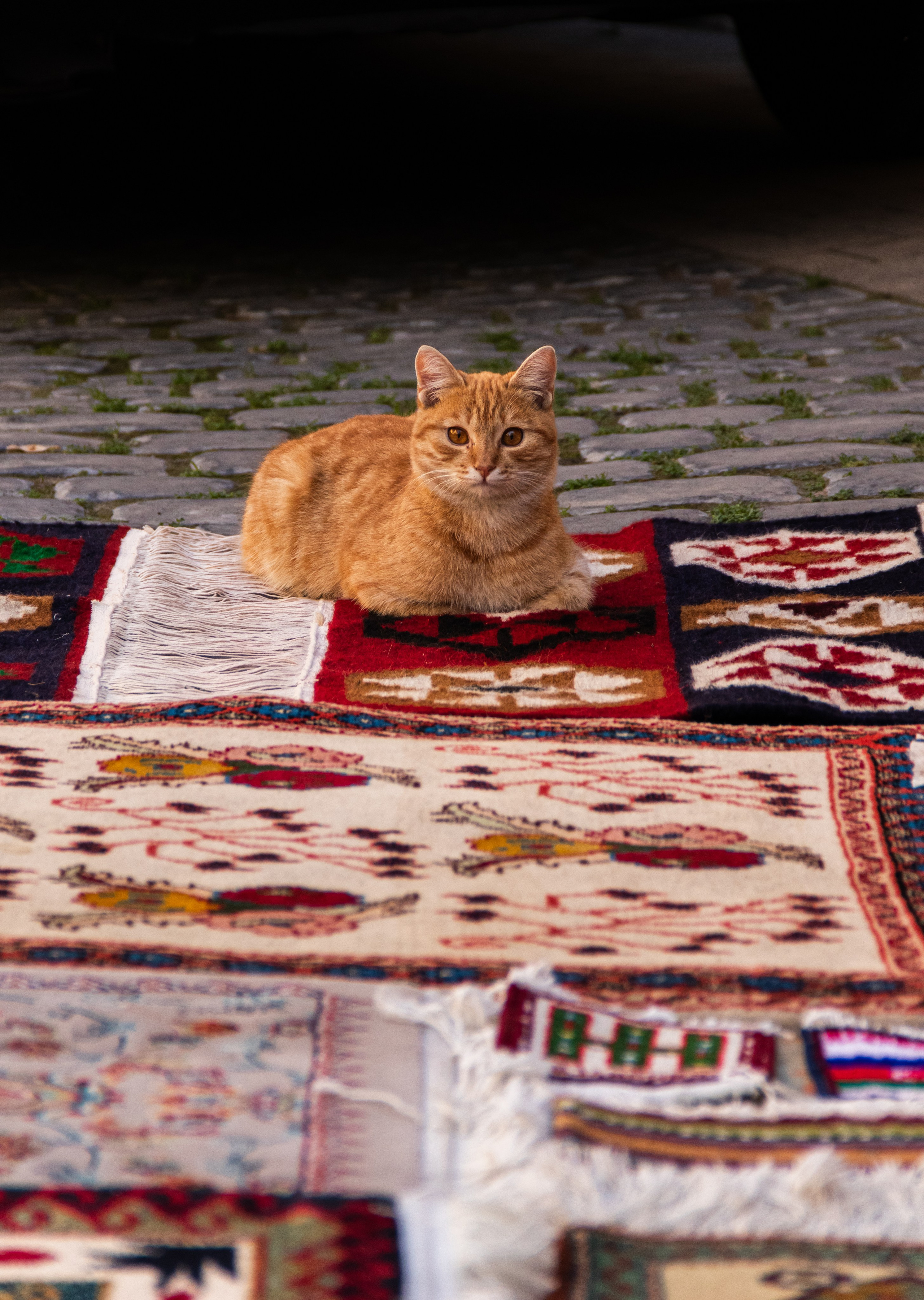 Баку. Наталия Фролова. Фотограф. Москва