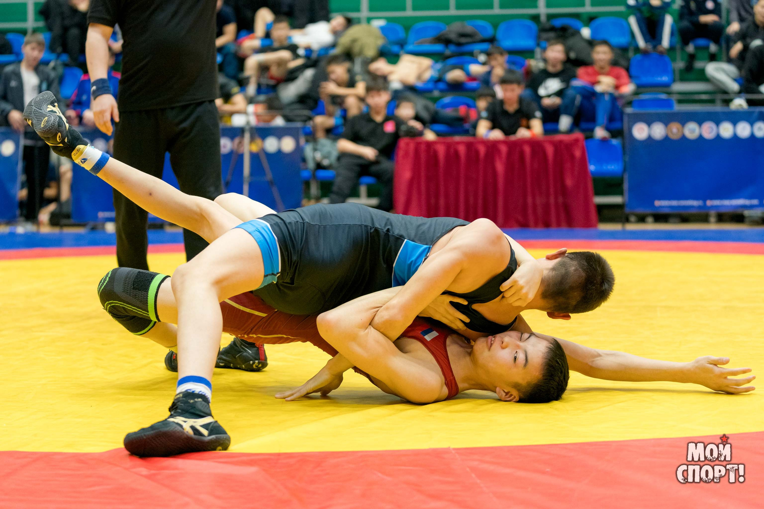 Первенство РС (Я) по греко-римской борьбе пам. Д. Г. Максимова. Студия «Мой Спорт!» — все о спорте в Якутии