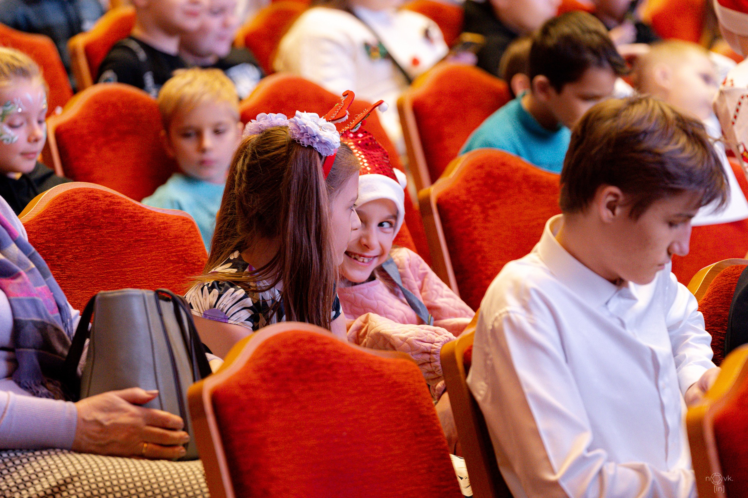 Ёлка. ФОТОГРАФ ИВАН НОВИКОВ | СТАВРОПОЛЬ