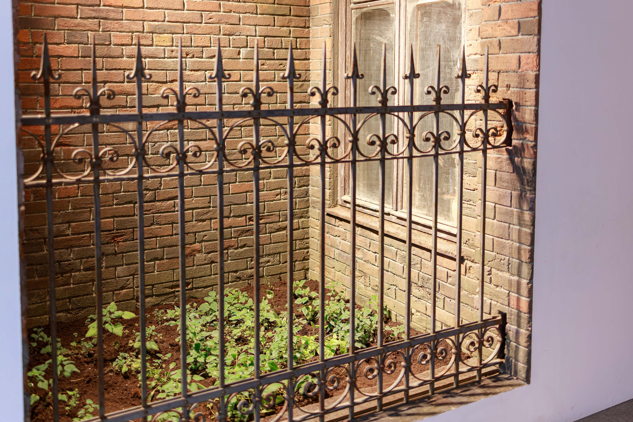 Выставочный проект «Город-Герой Ленинград». Фотограф Балаев Михаил