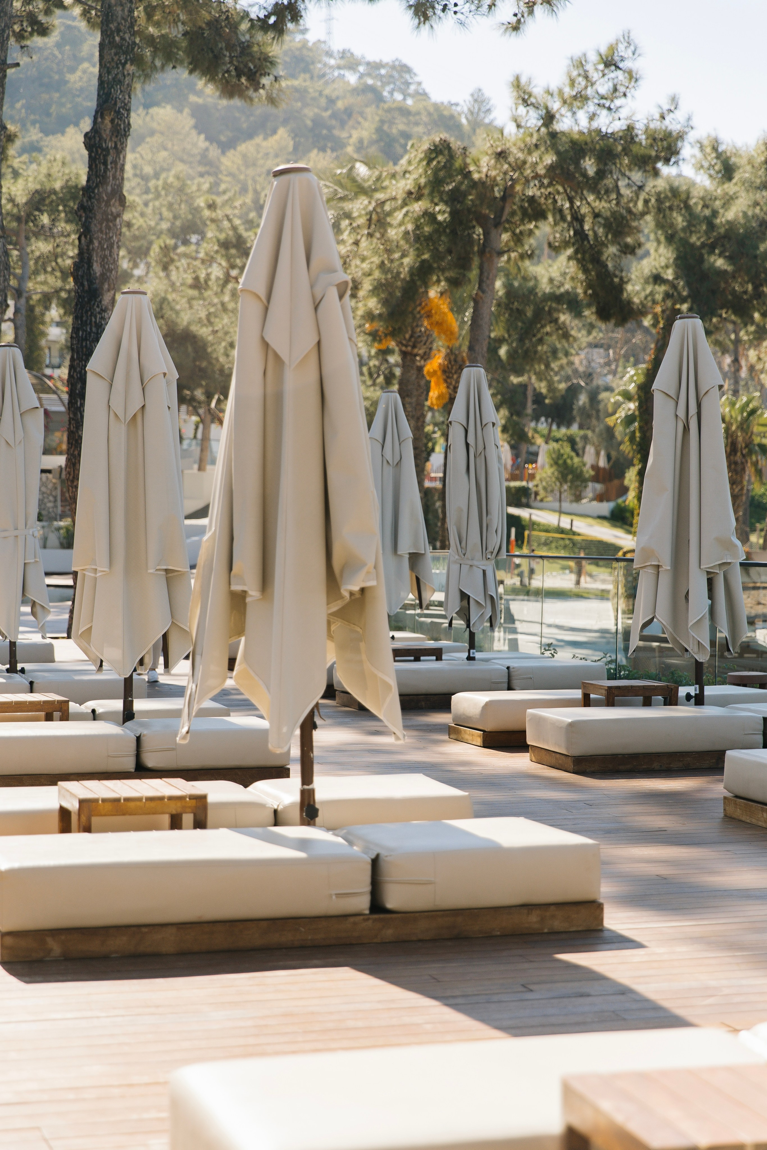 Алиса | Антон