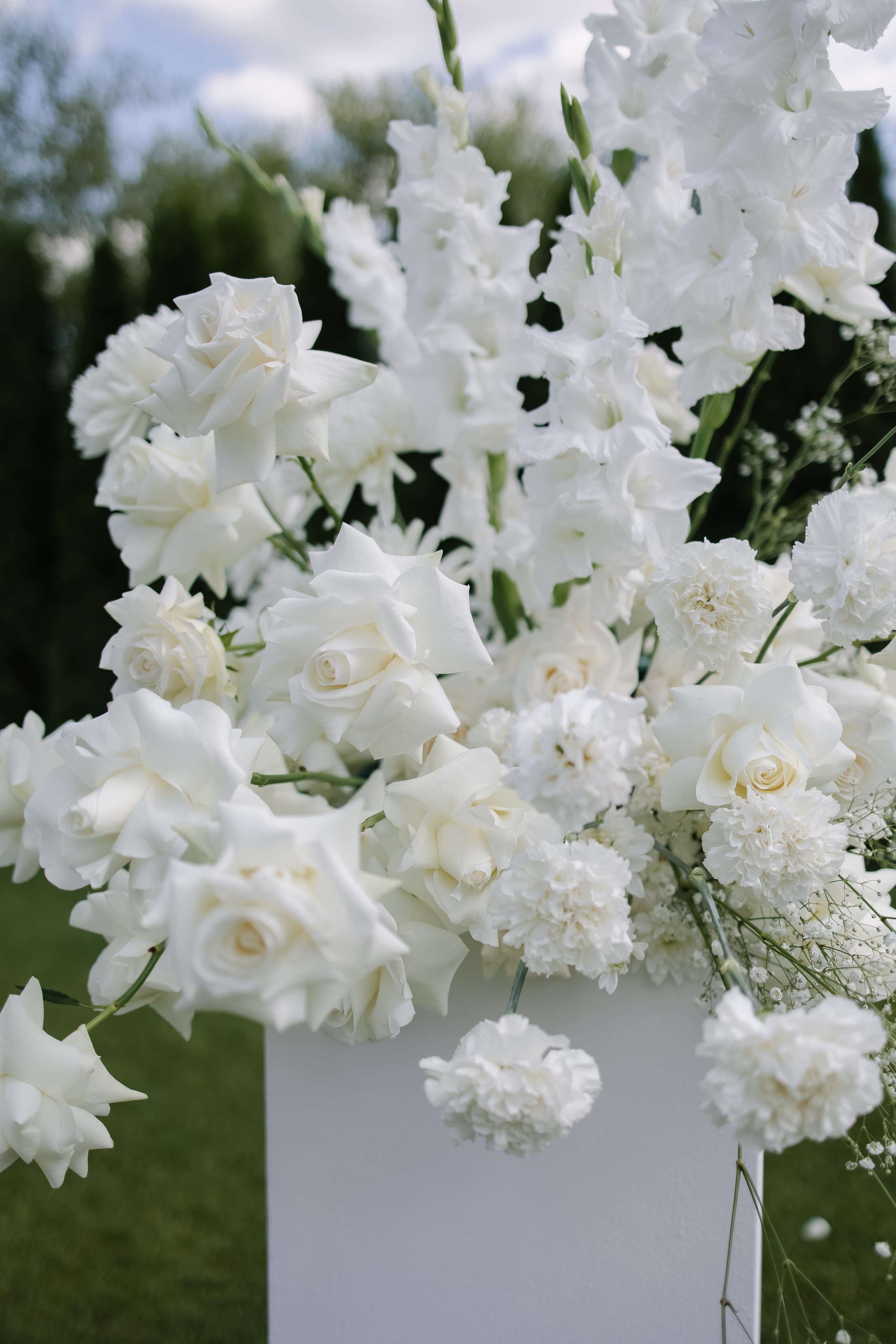 Aleksey&Viktoriya. Свадебный фотограф