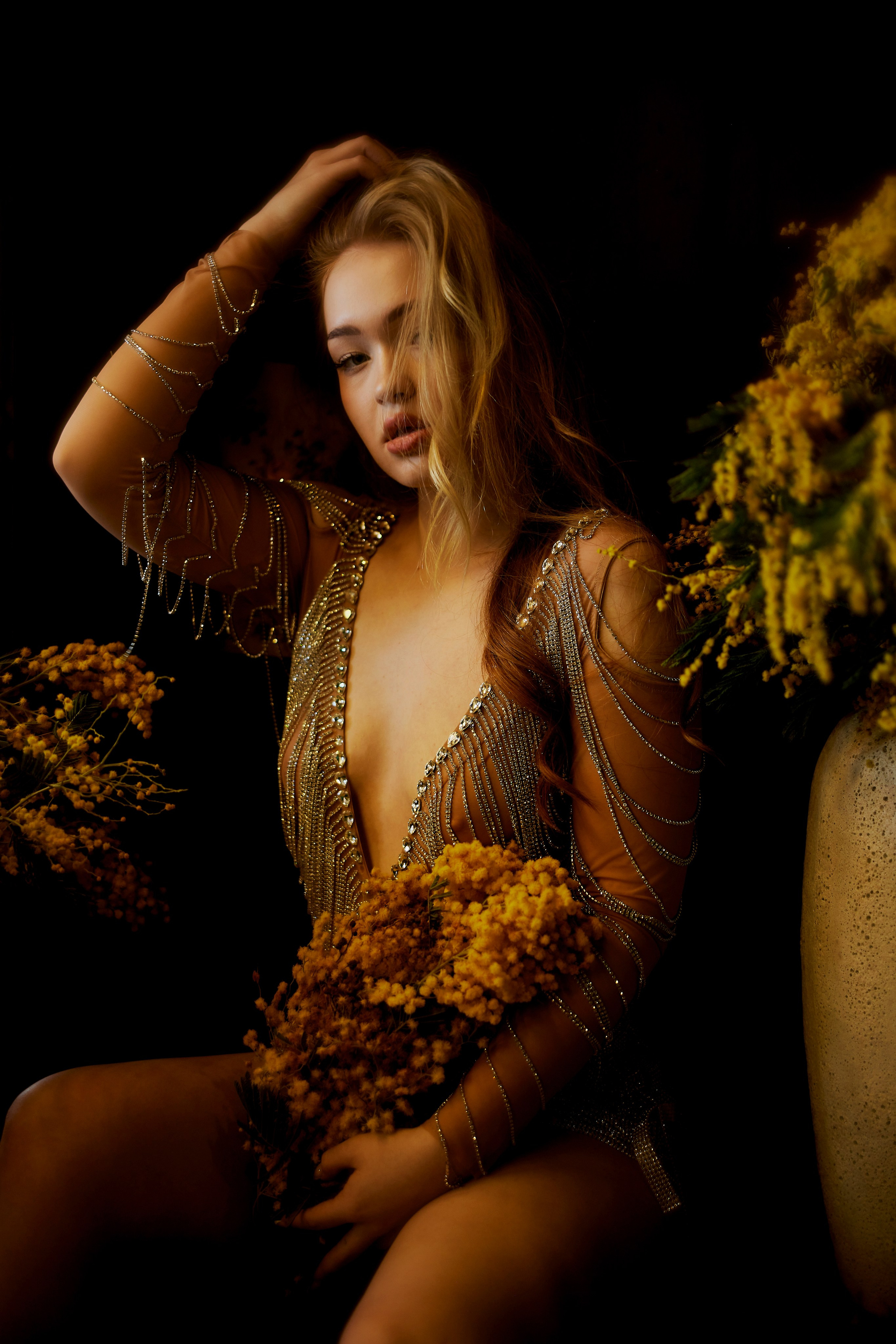 Мимоза 2. Сергей Ирклиенко