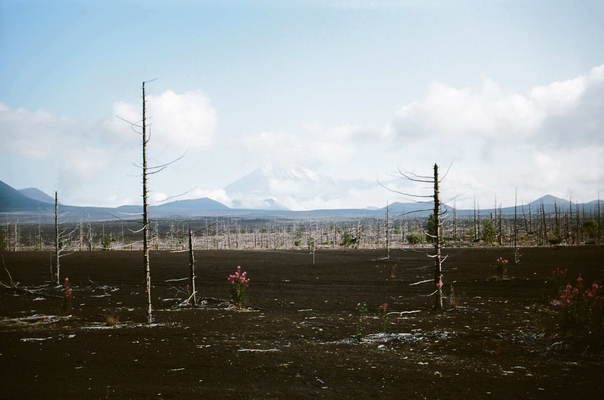 Камчатка на пленку. Travel-фотограф Ирина Милинцова