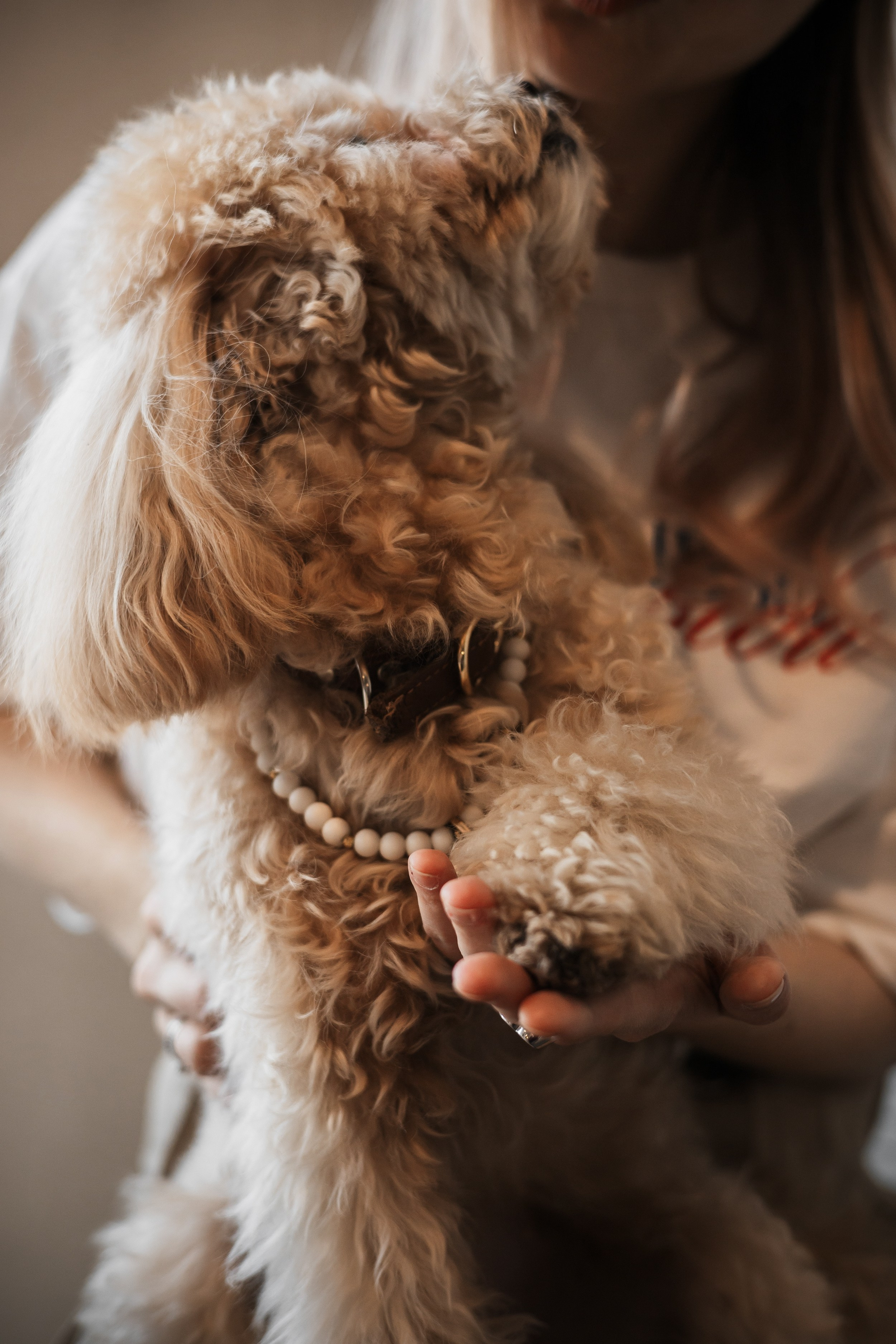 Алина — прогулка