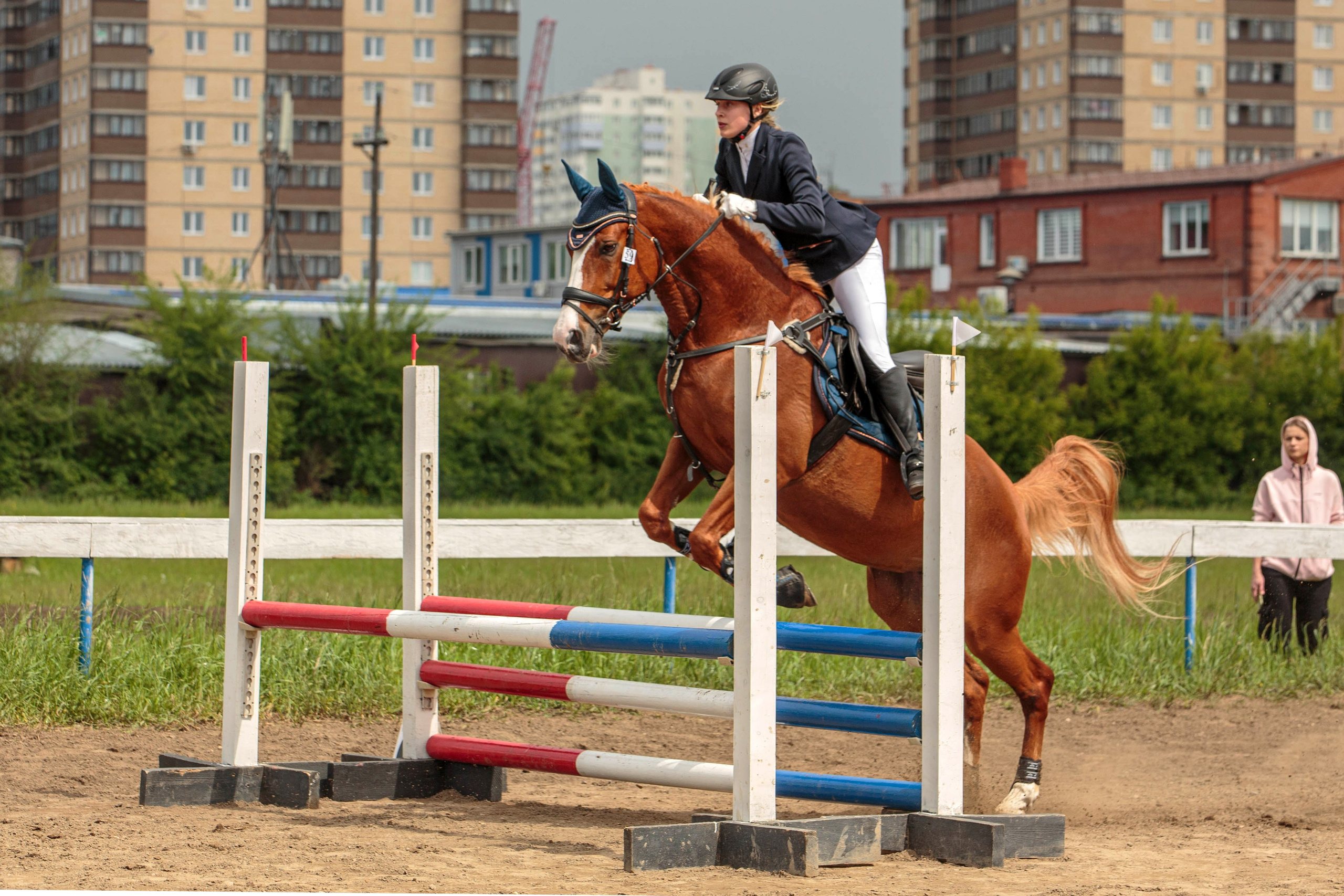 2024. Конный фотограф в Красноярске — Любовь Похабова