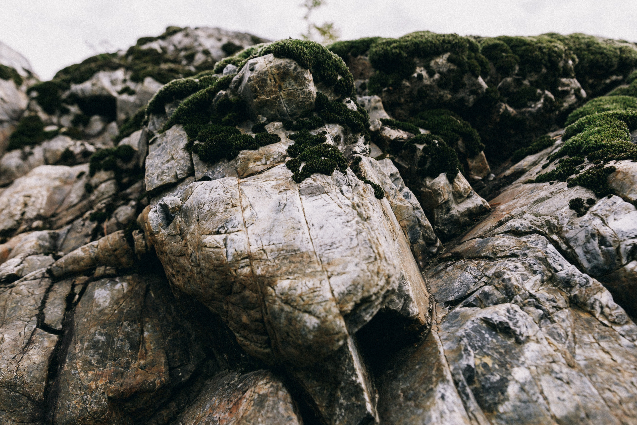Алтай, природа и эстетика. Александр Чернин. Семейный и событийный фотограф