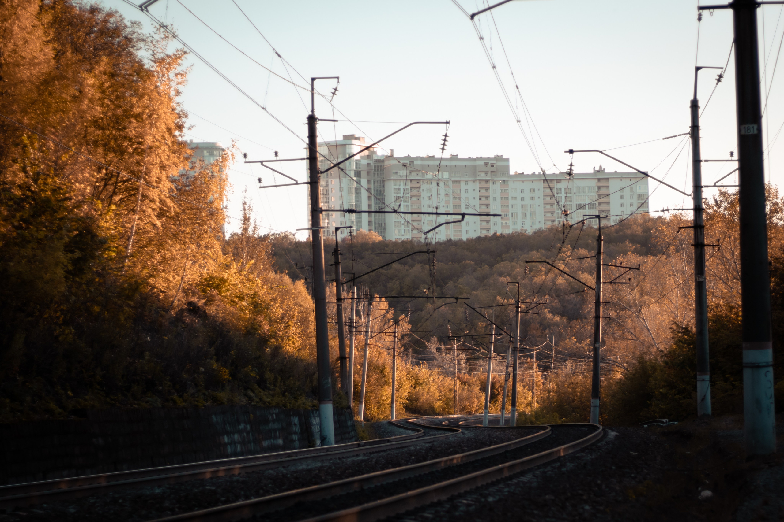 Единение с осенью. Маслухин Дмитрий — Ваш Фотограф