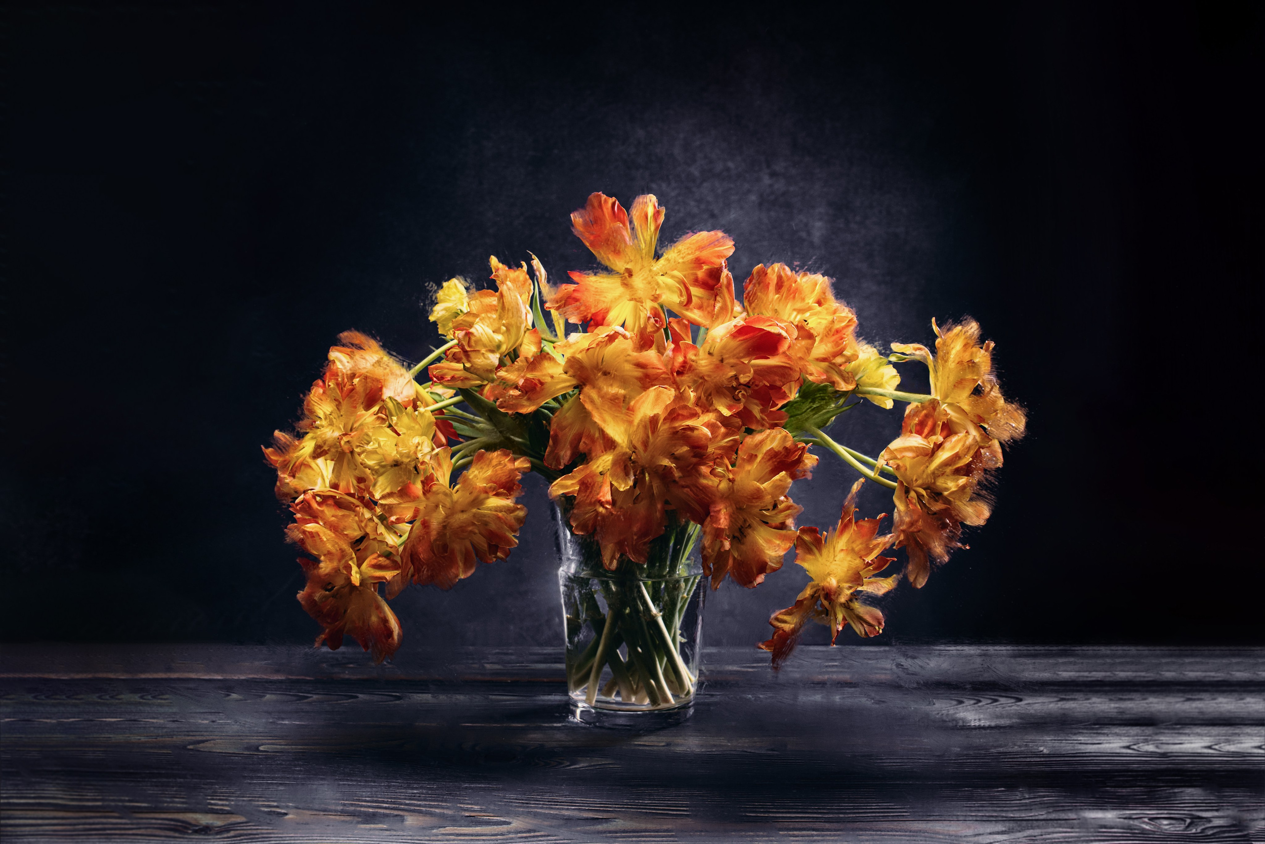 Фотосъёмка растений фотограф Залитко Вячеслав