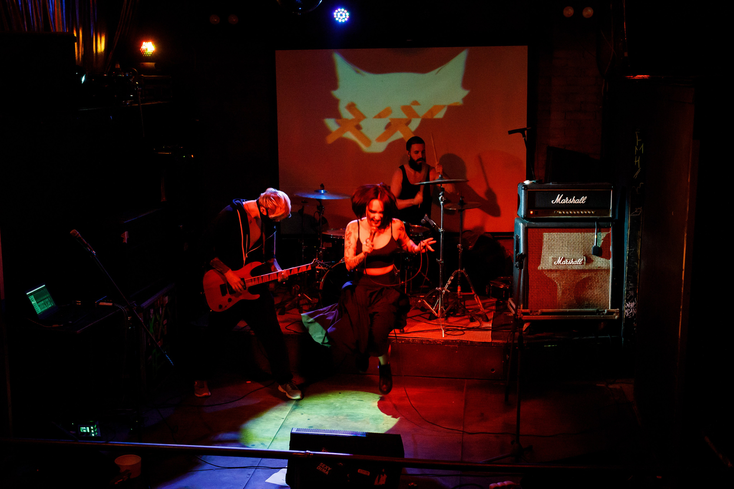 THE KAT IS DEAD. Фотограф Елена Богачева (lenalena_na_na_na)