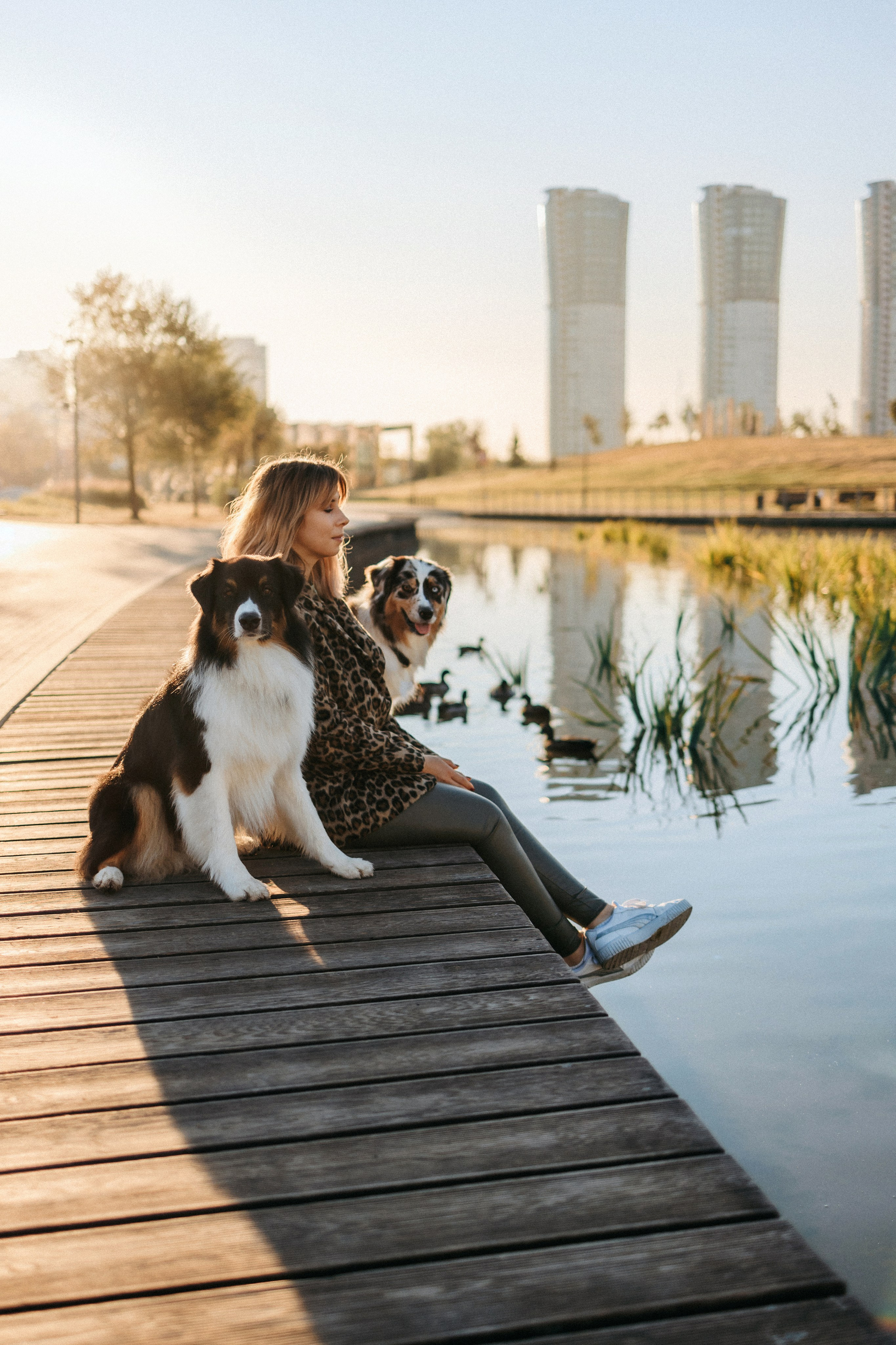 Аня, Чарли и Ева. Фотограф-анималист Елена Радченко, Москва