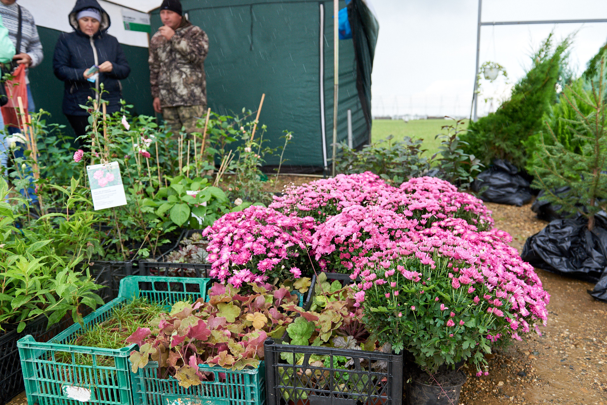 Ярмарка «Золотой сад» 2021 г. Интерьерный и репортажный фотограф в Краснодаре Дмитрий Вальков