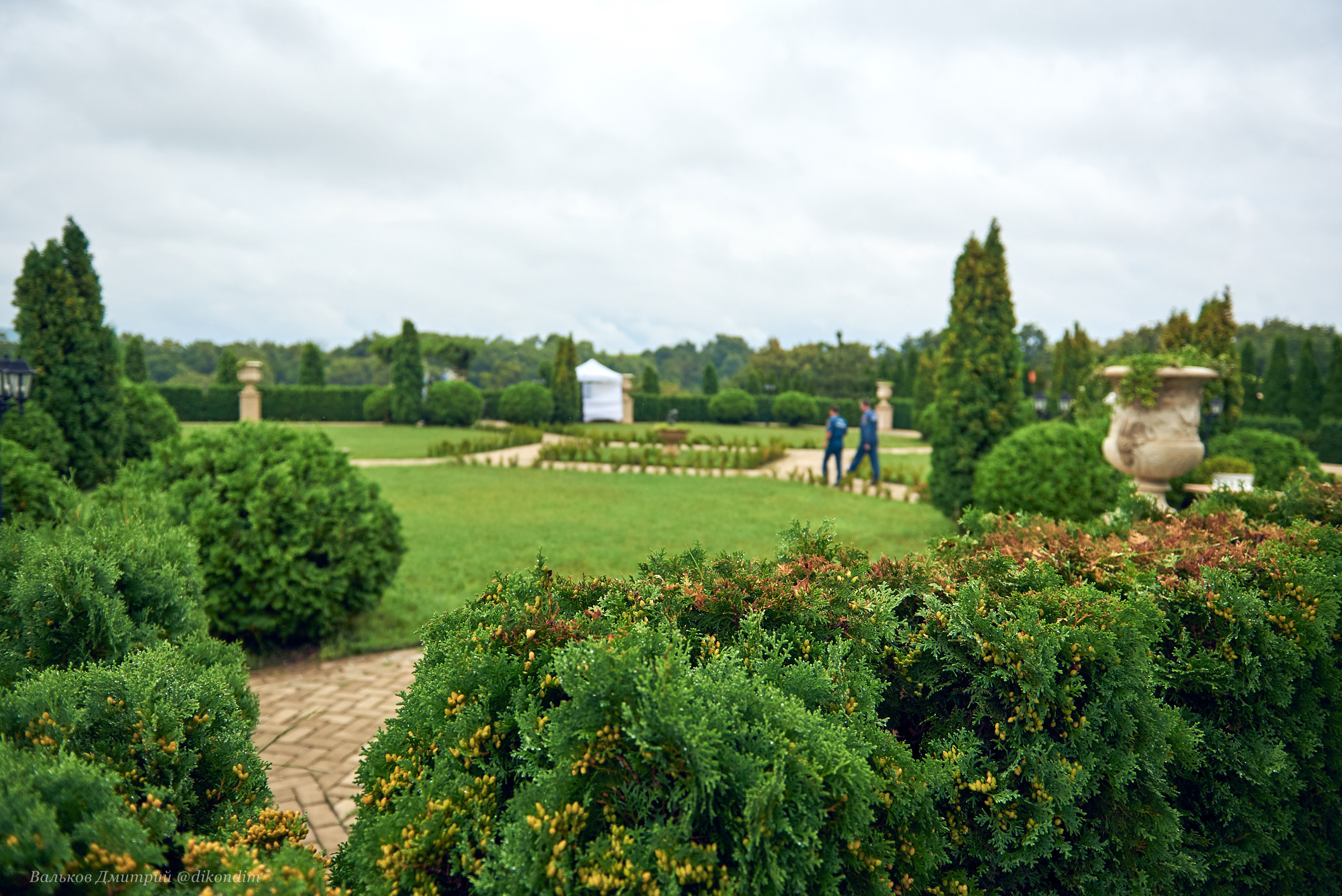 Лефкадия, Свадебный интерьер. Интерьерный и репортажный фотограф в Краснодаре Дмитрий Вальков