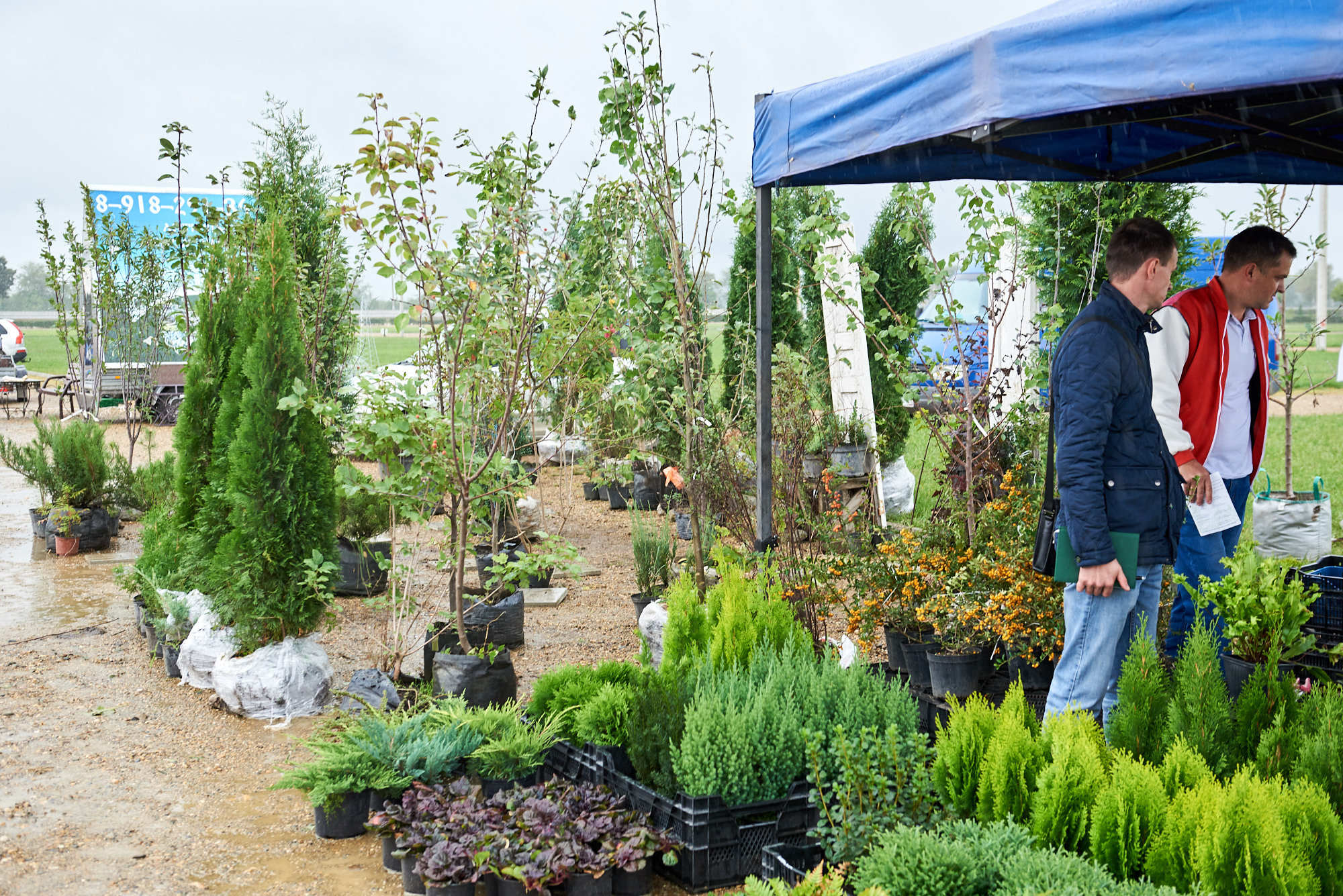 Ярмарка «Золотой сад» 2021 г. Интерьерный и репортажный фотограф в Краснодаре Дмитрий Вальков