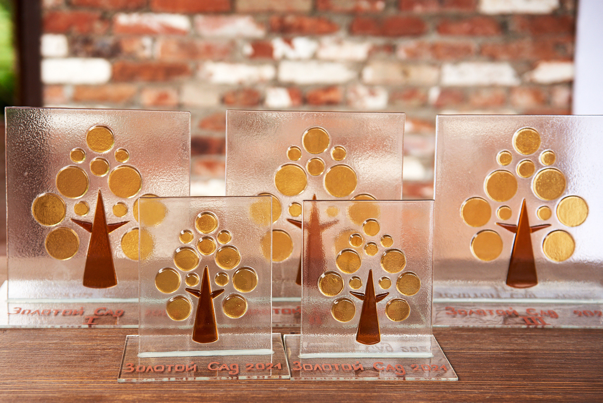 Ярмарка «Золотой сад» 2021 г. Интерьерный и репортажный фотограф в Краснодаре Дмитрий Вальков