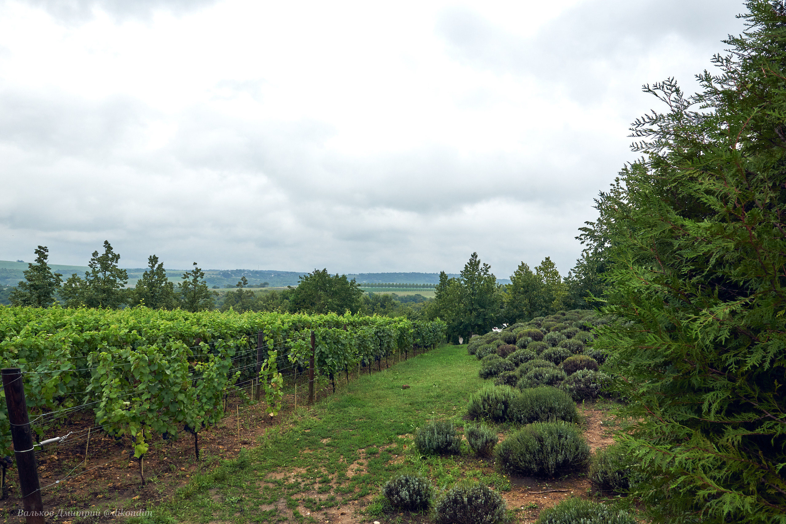 Лефкадия, Свадебный интерьер. Интерьерный и репортажный фотограф в Краснодаре Дмитрий Вальков