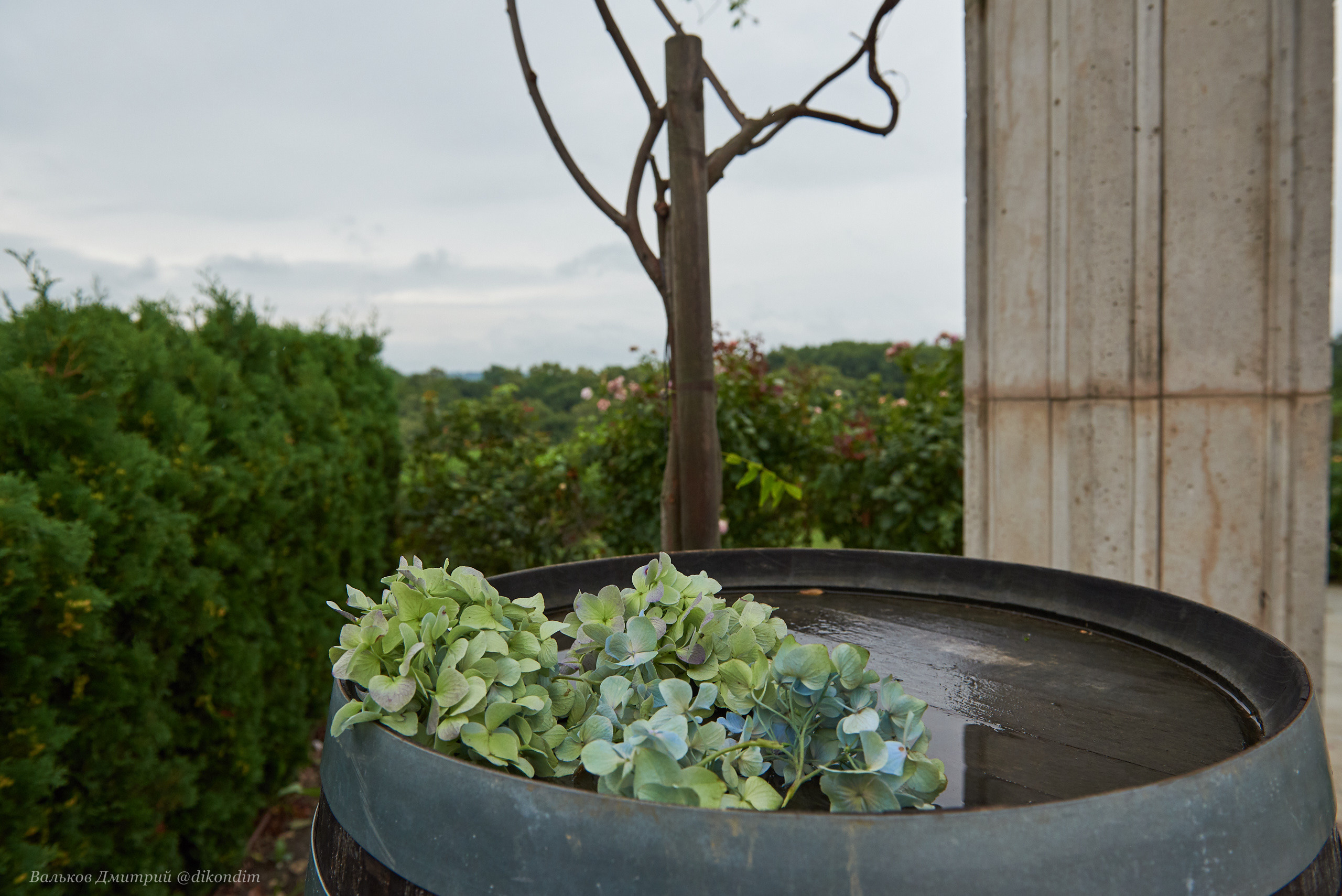 Лефкадия, Свадебный интерьер. Интерьерный и репортажный фотограф в Краснодаре Дмитрий Вальков