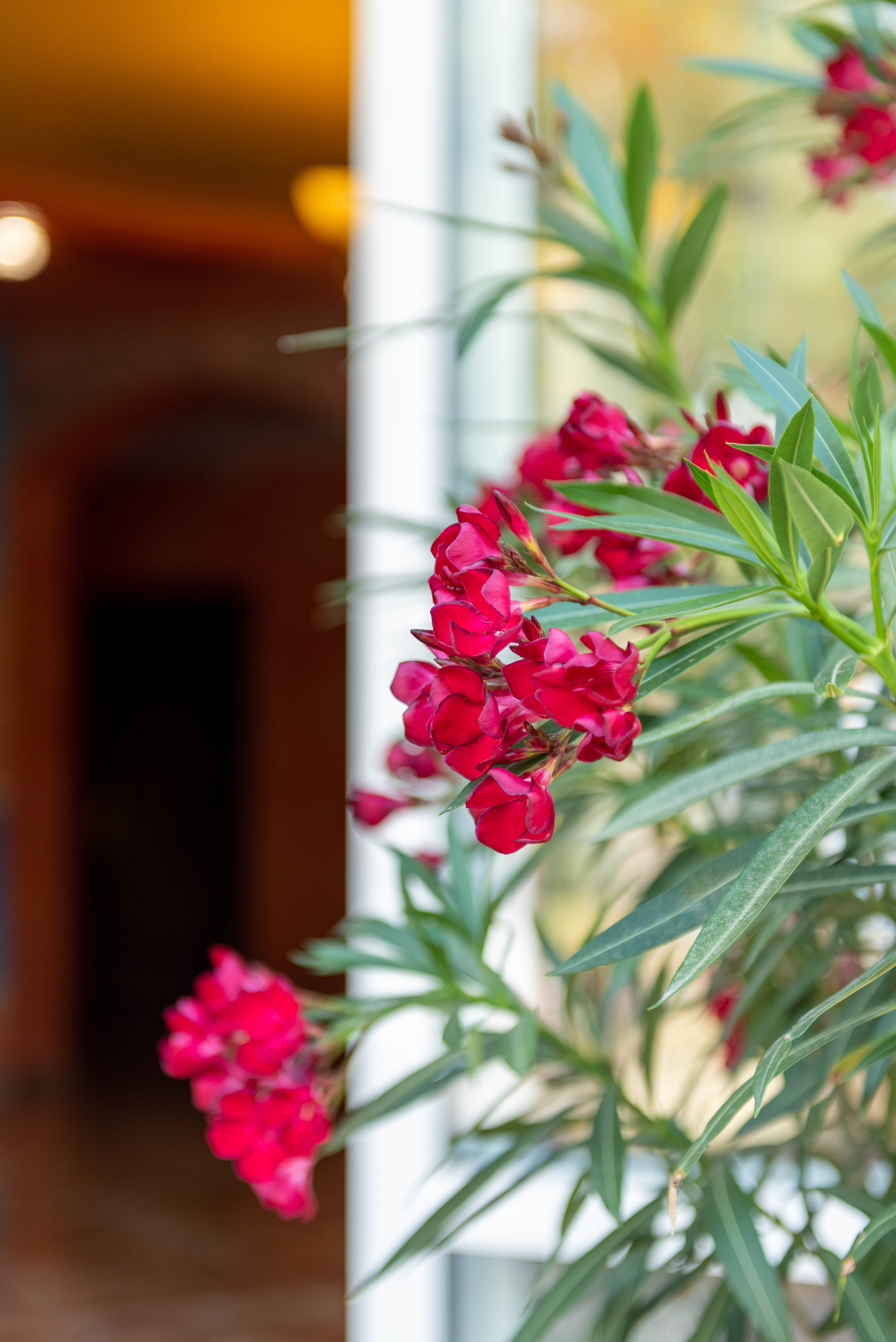 Разные интерьеры. Интерьерный и репортажный фотограф в Краснодаре Дмитрий Вальков