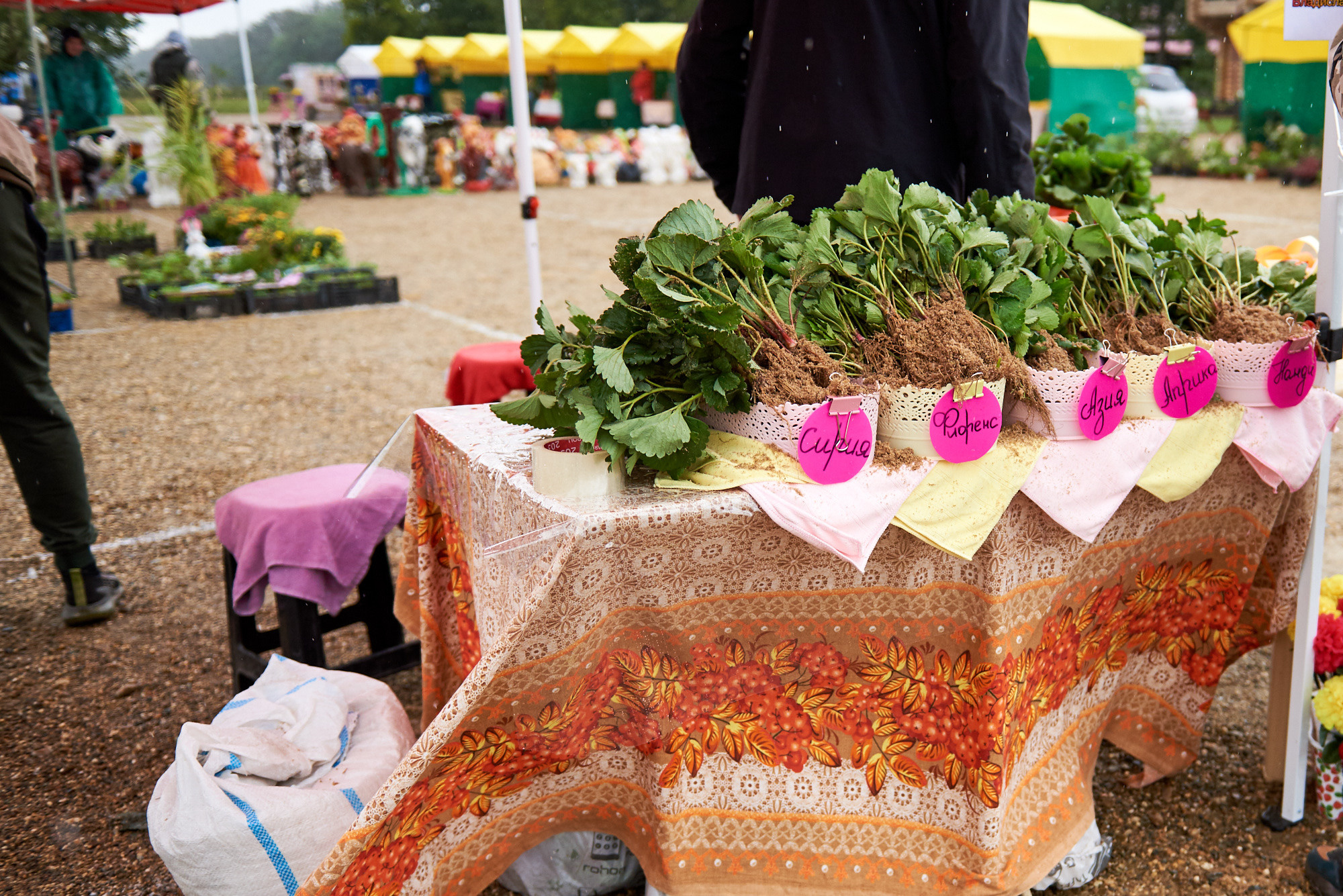 Ярмарка «Золотой сад» 2021 г. Интерьерный и репортажный фотограф в Краснодаре Дмитрий Вальков