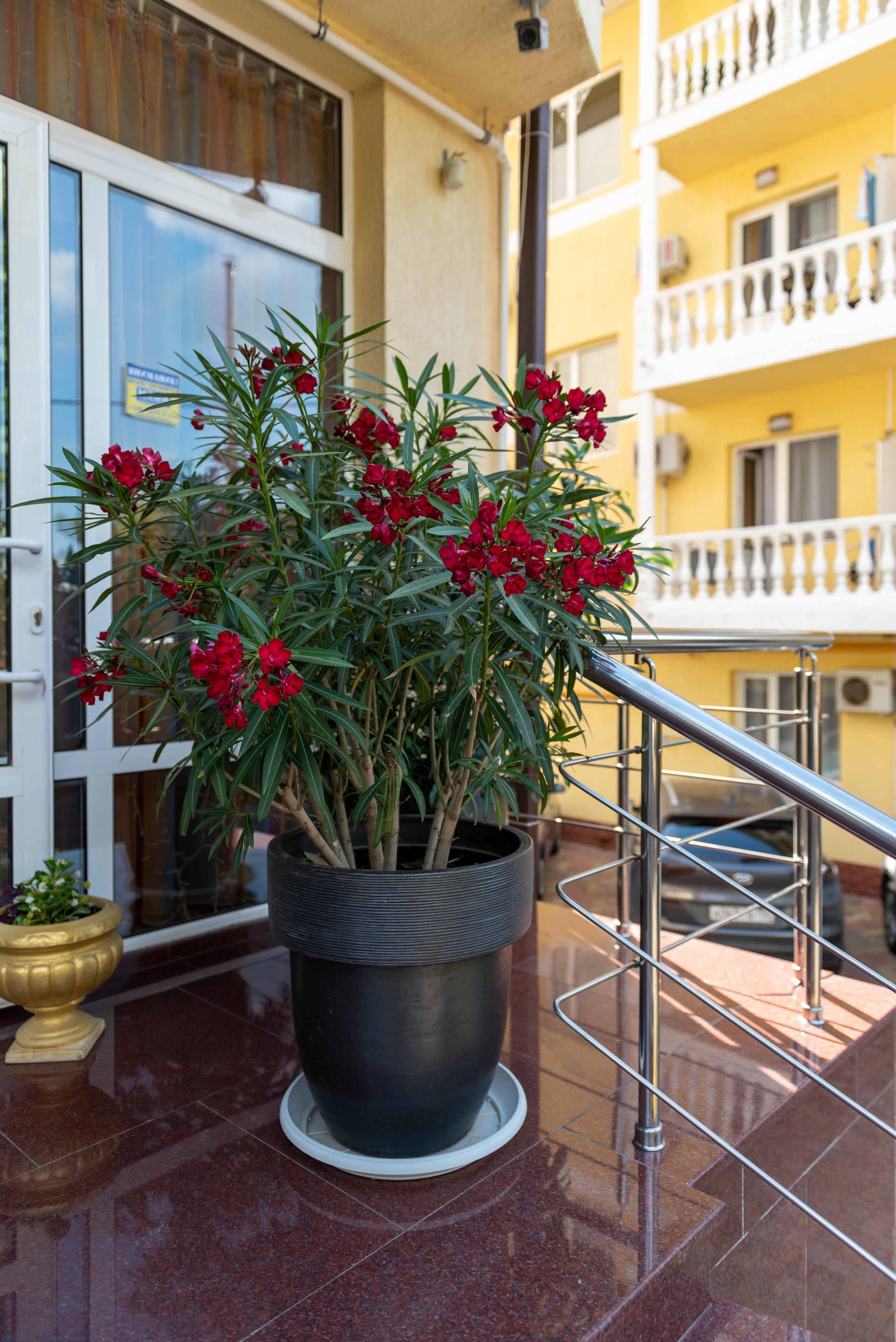 Разные интерьеры. Интерьерный и репортажный фотограф в Краснодаре Дмитрий Вальков