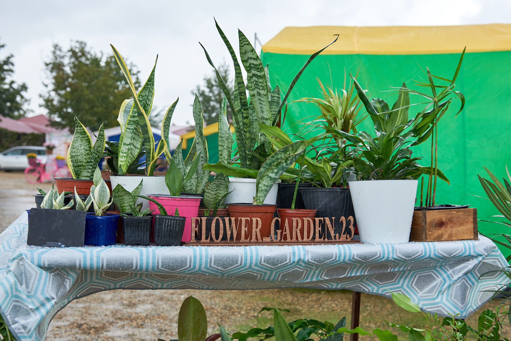 Ярмарка «Золотой сад» 2021 г. Интерьерный и репортажный фотограф в Краснодаре Дмитрий Вальков