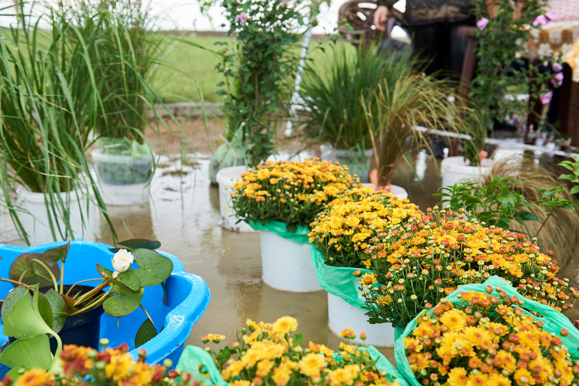 Ярмарка «Золотой сад» 2021 г. Интерьерный и репортажный фотограф в Краснодаре Дмитрий Вальков