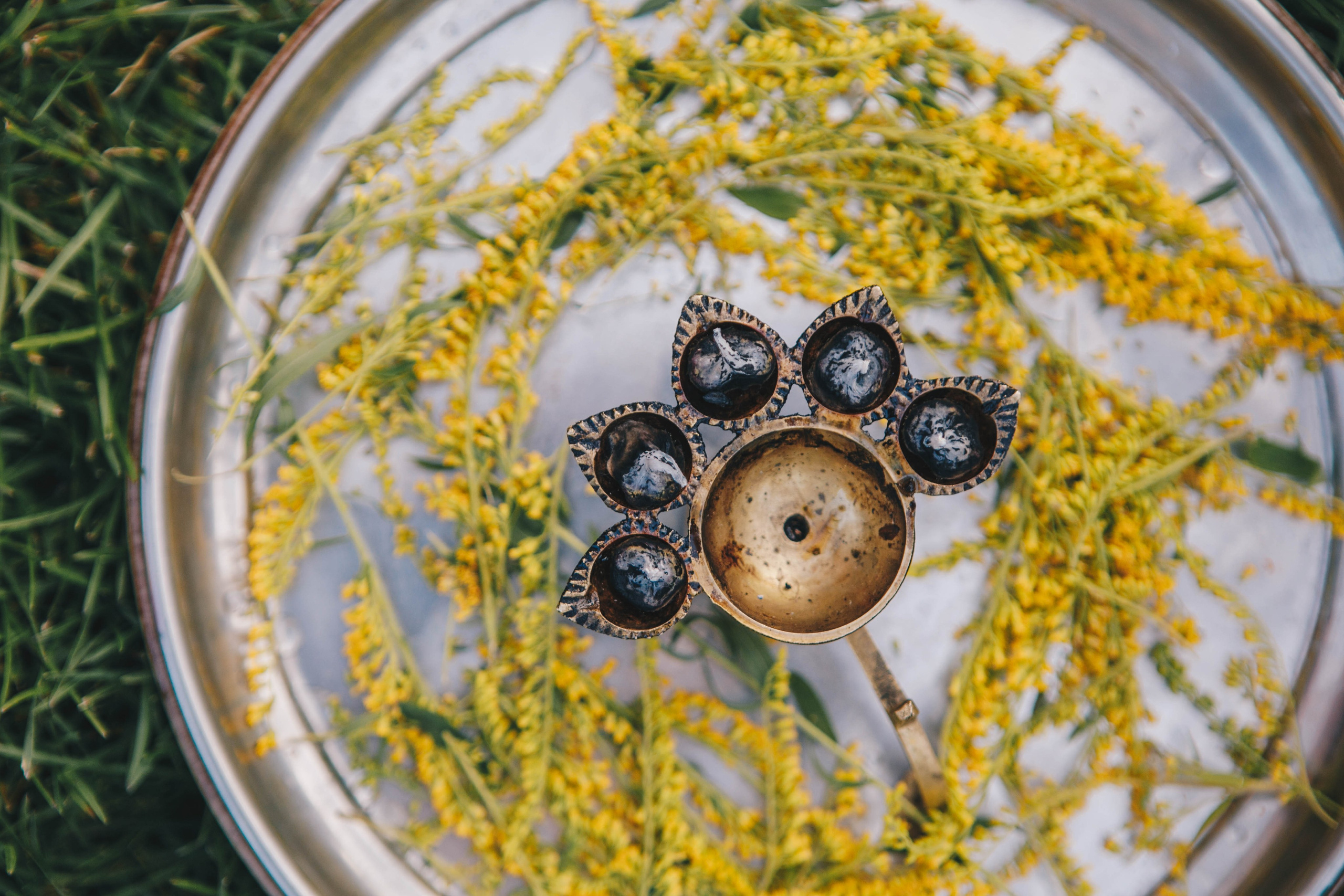 ВИВАХА. Фотограф Лебедева Наталья