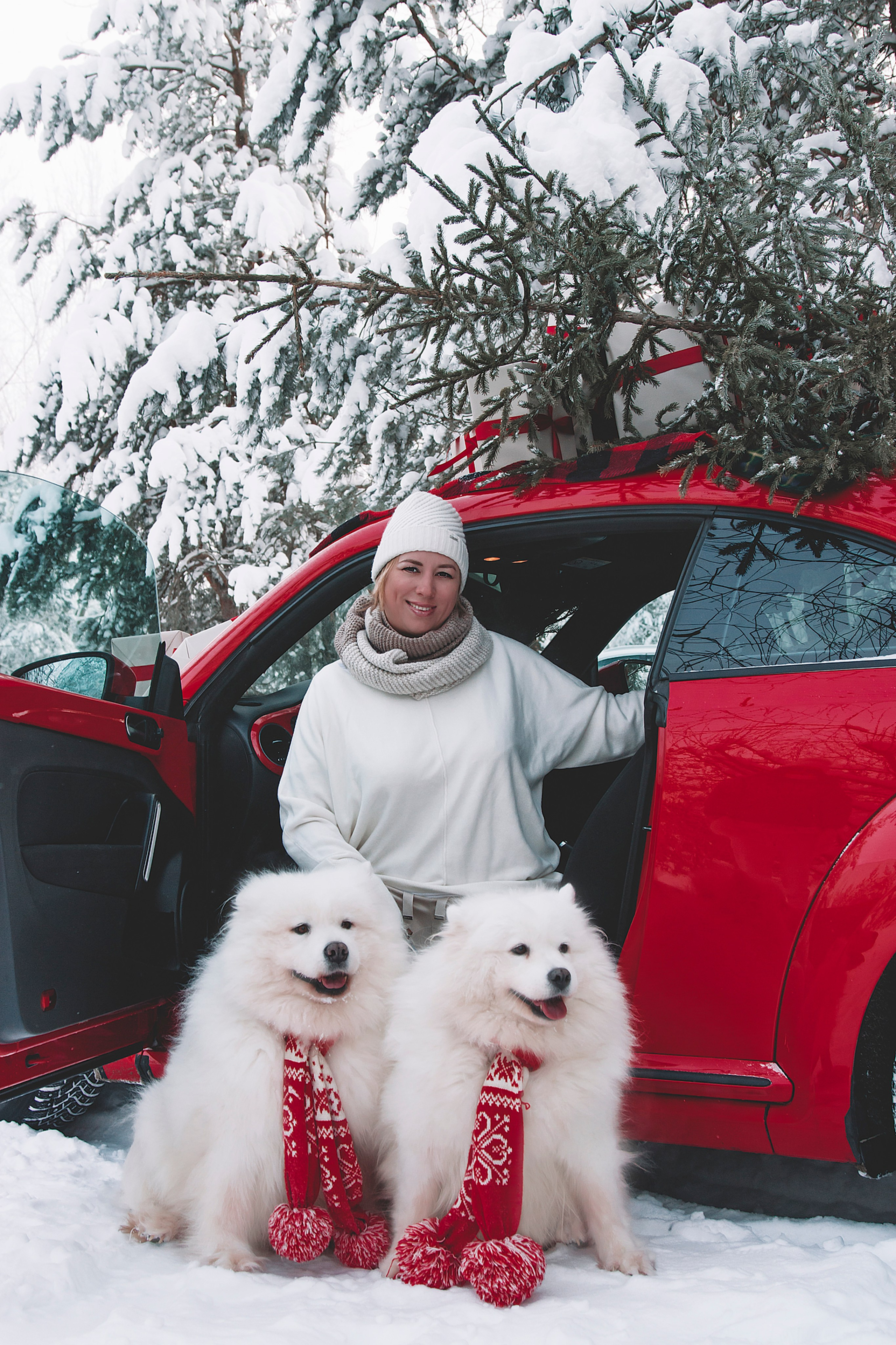 Новогодний красный жук. Фотограф Ольга Бобб Нижний Новгород