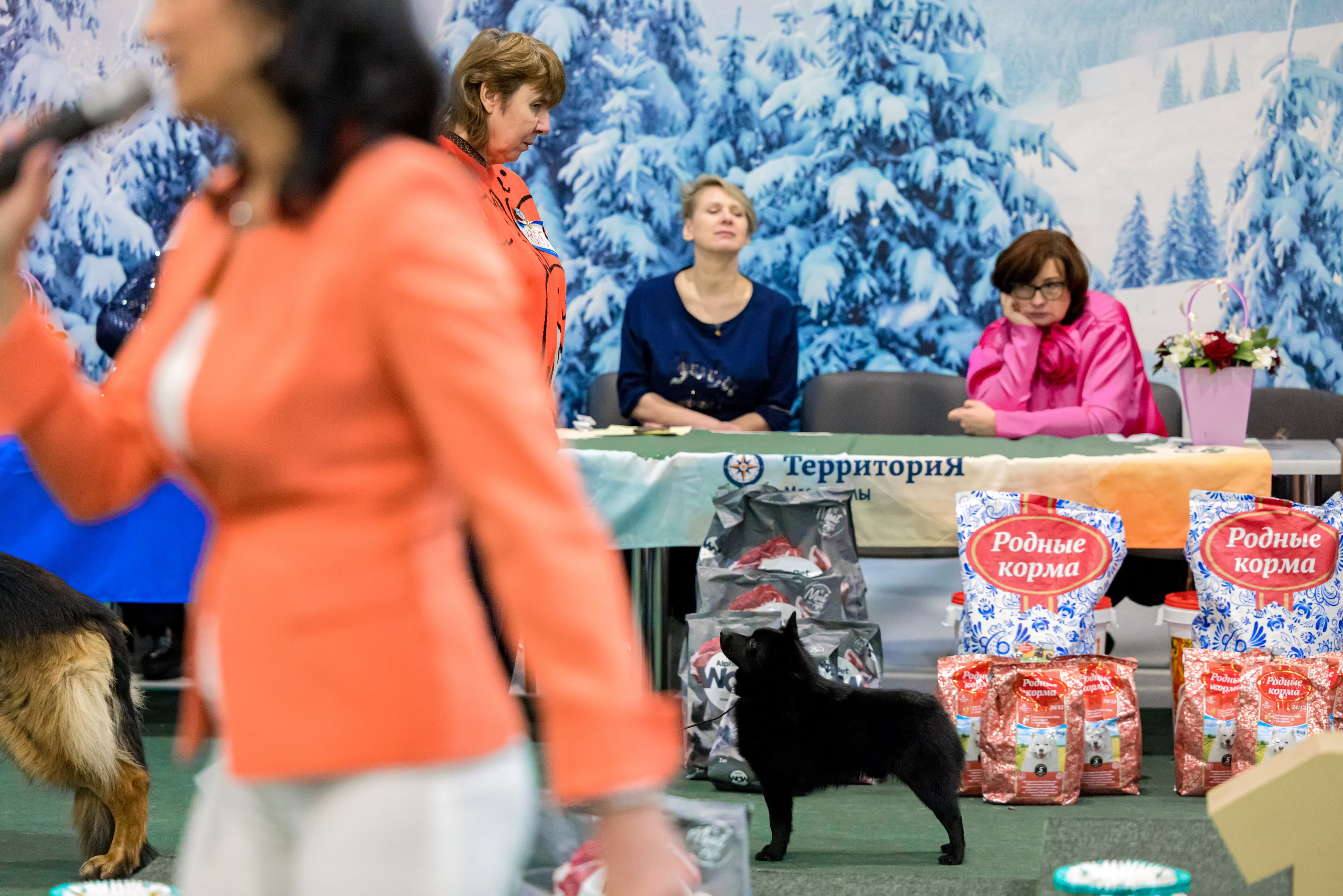 Крокус 3,9 и 10.12.2023. Фотограф-анималист Юлия Германика