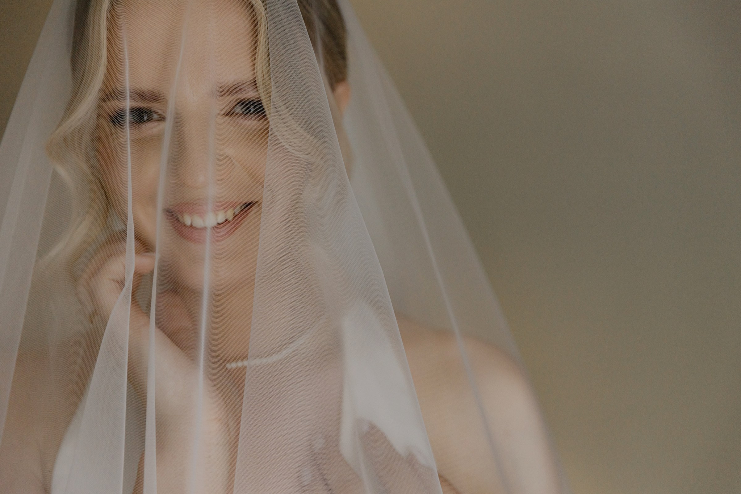 Свадьба пес и котики. Dima Lemeshevsky