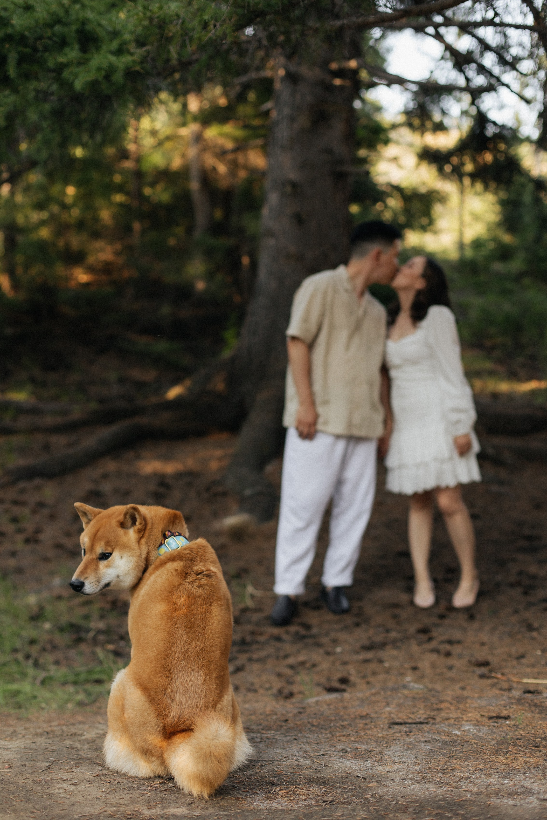 «Теплое воспоминание». Свадебный и семейный фотограф в Якутске — Дьулусхан Прокопьев