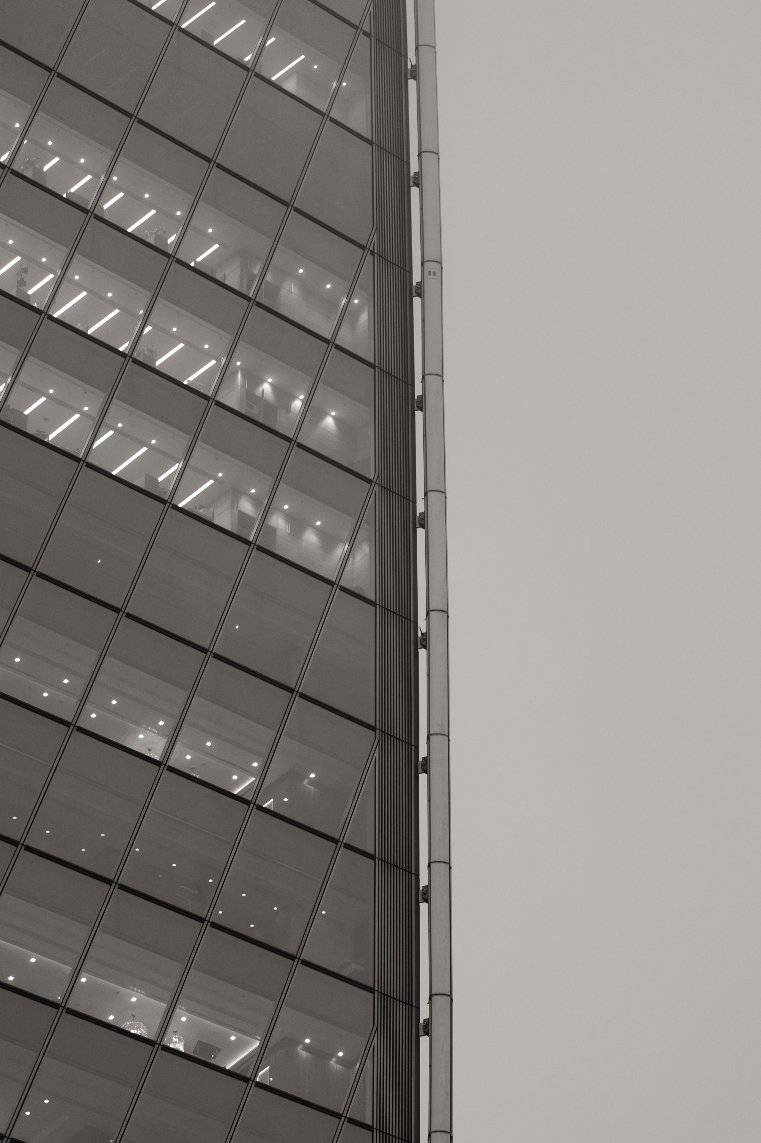 Илья и Лиза. @dariazphoto свадебный фотограф