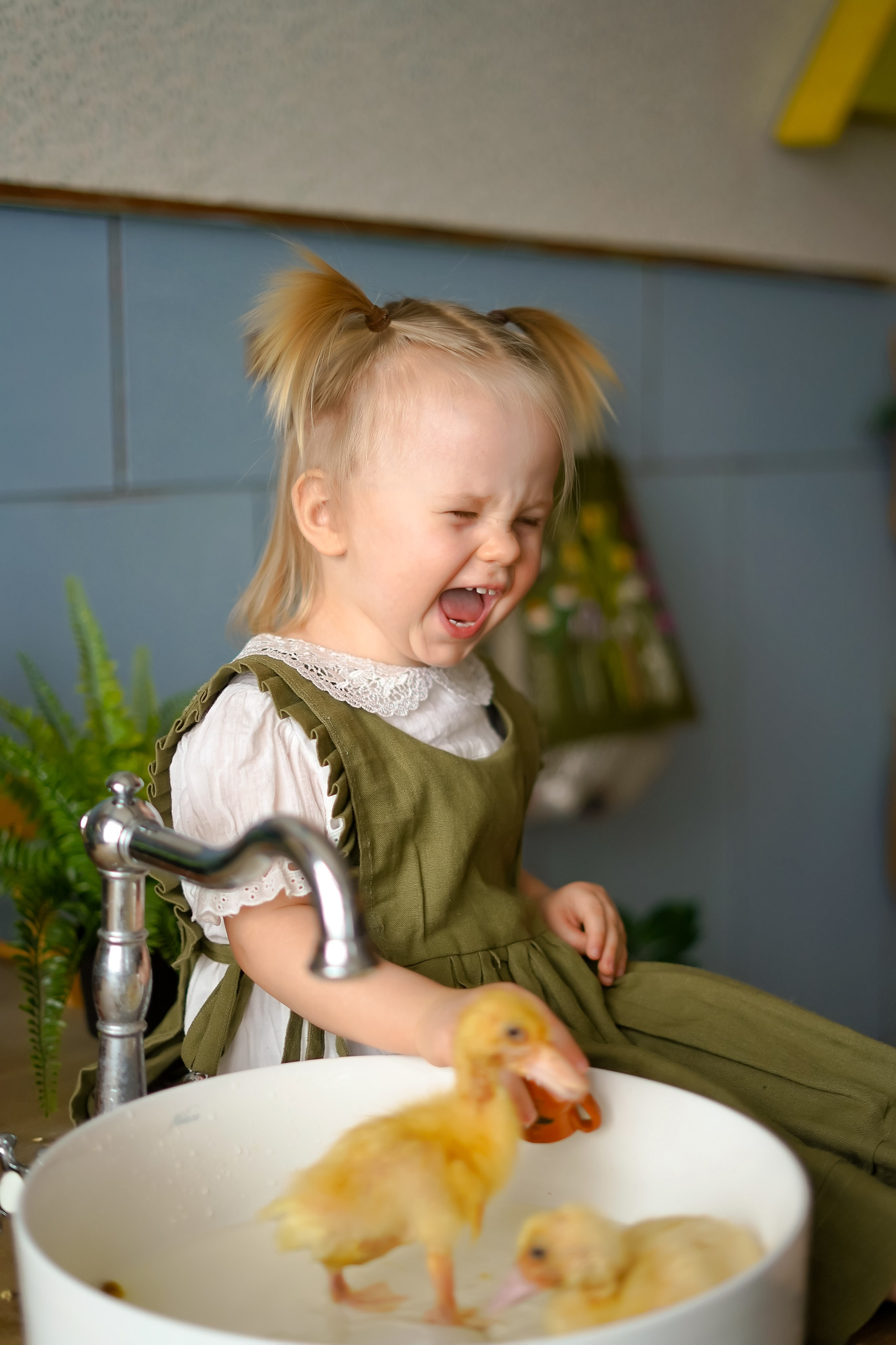 Милота!. Фотограф Татьяна Митрофанова