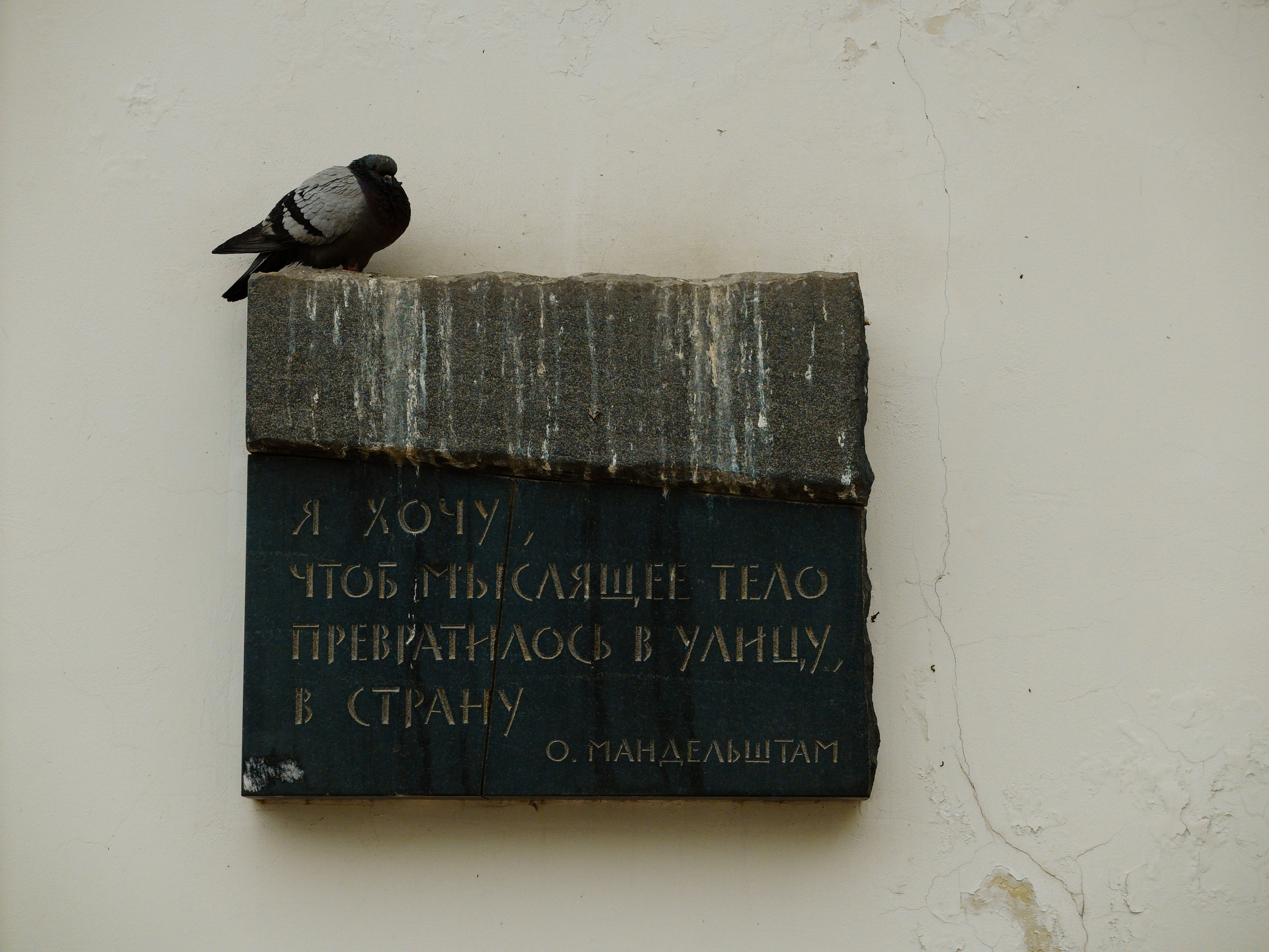 Bardo / Цветущие сны. Роман Ходырев — художник, фотограф, музыкант, эзотериолог. Санкт-Петербург, Рига