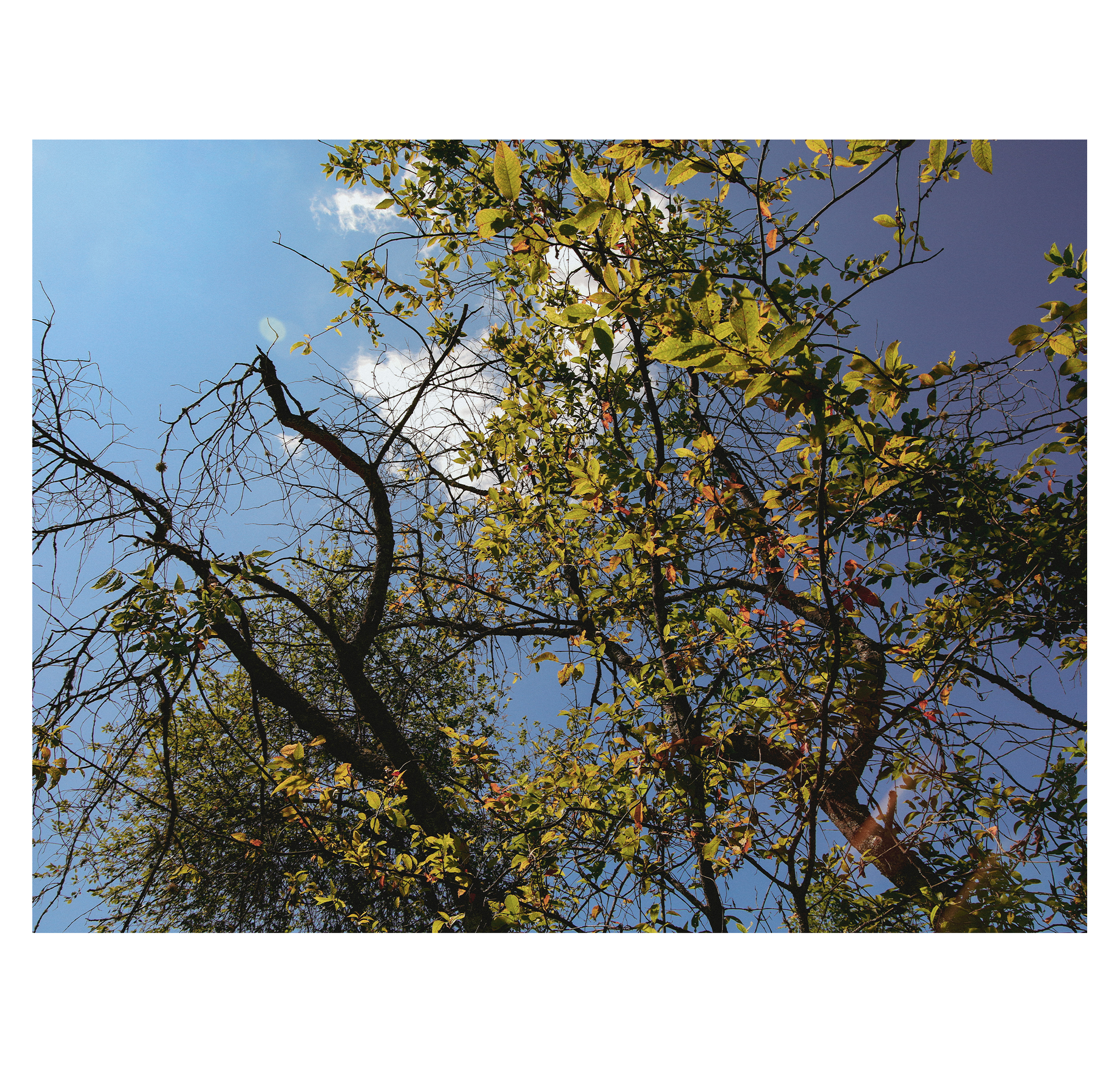 Summer hike. Фотограф/дизайнер в Екатеринбурге Хитрый Дмитрий