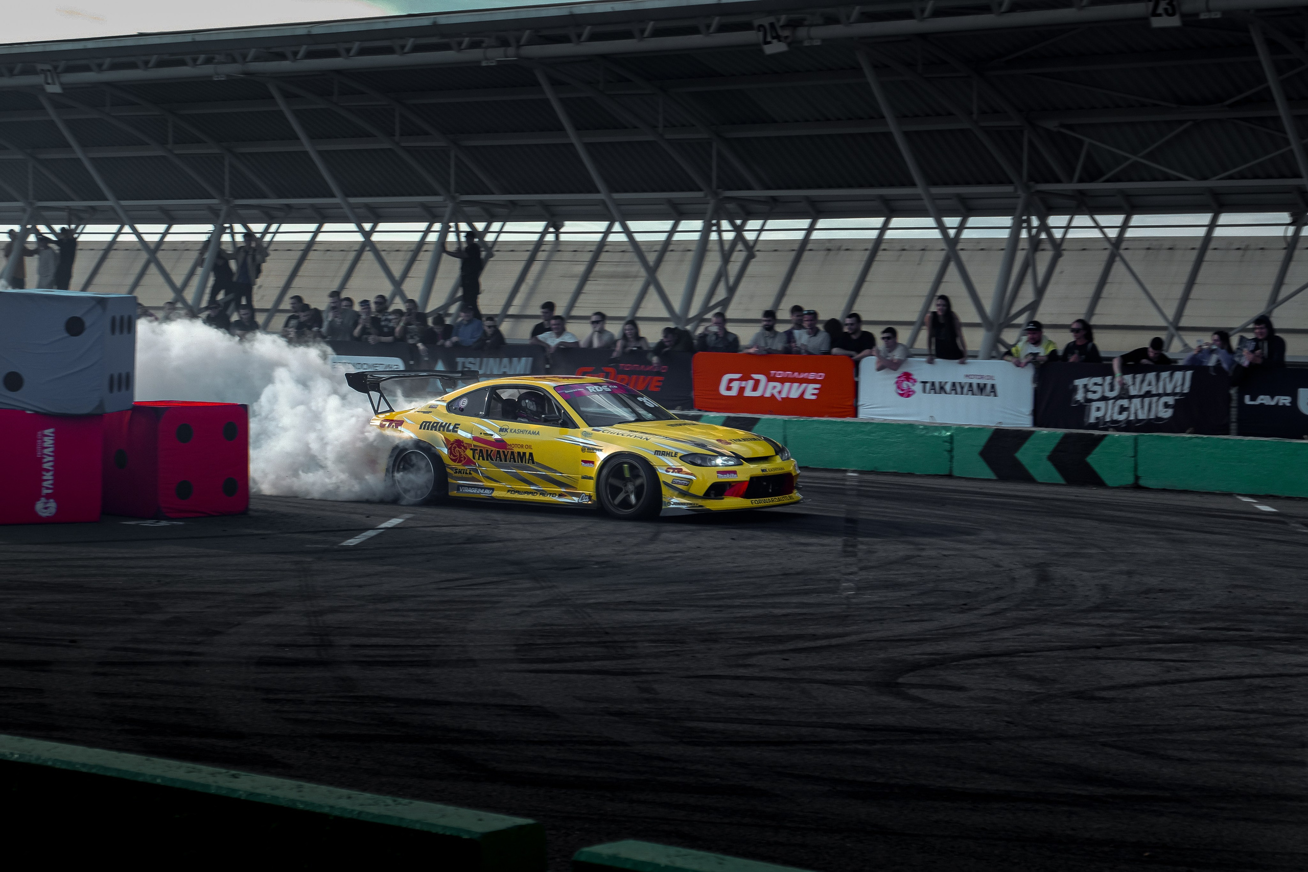 Tsunami Picnic 2024. Александр Попов