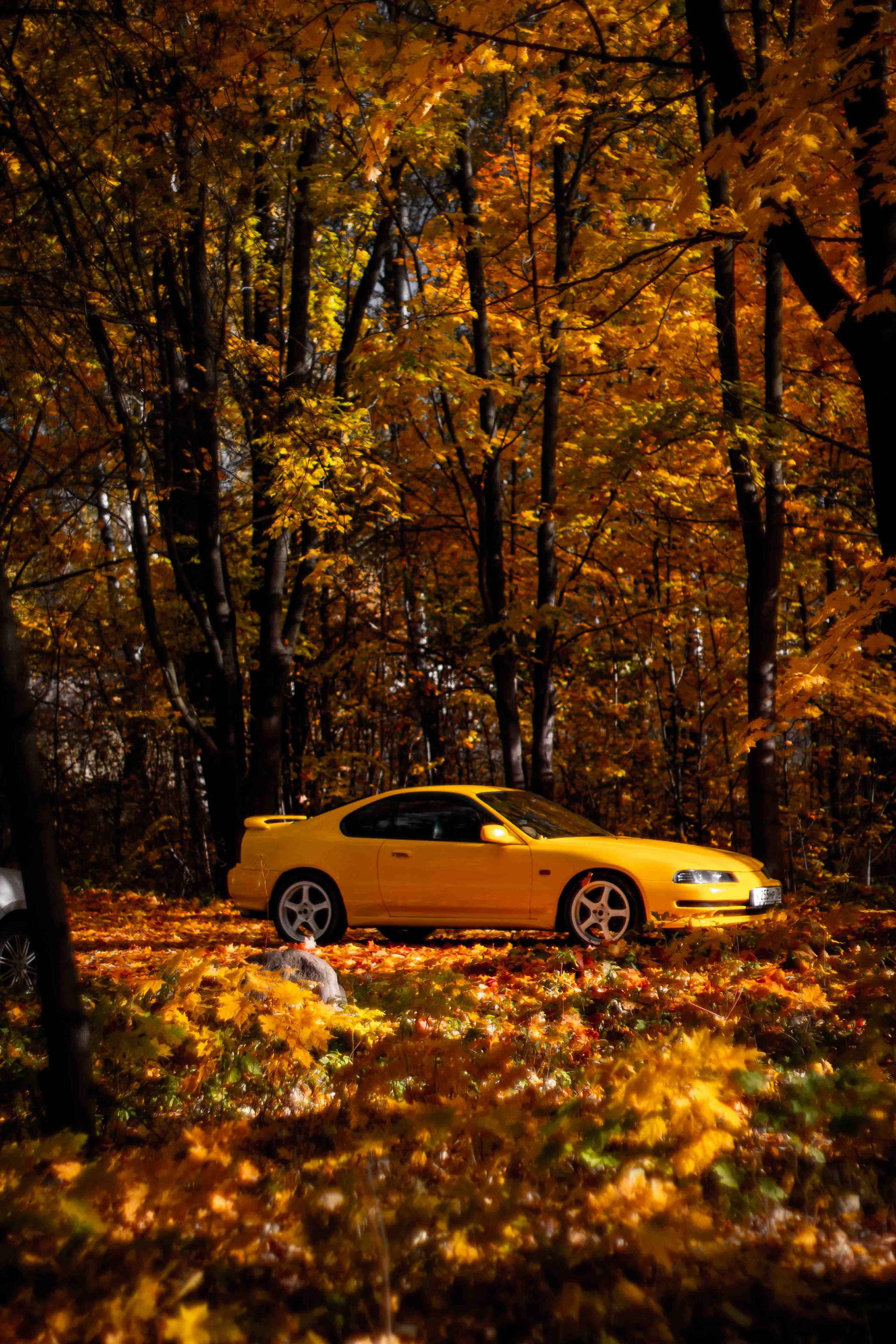 Осеннее настроение. Александр Попов