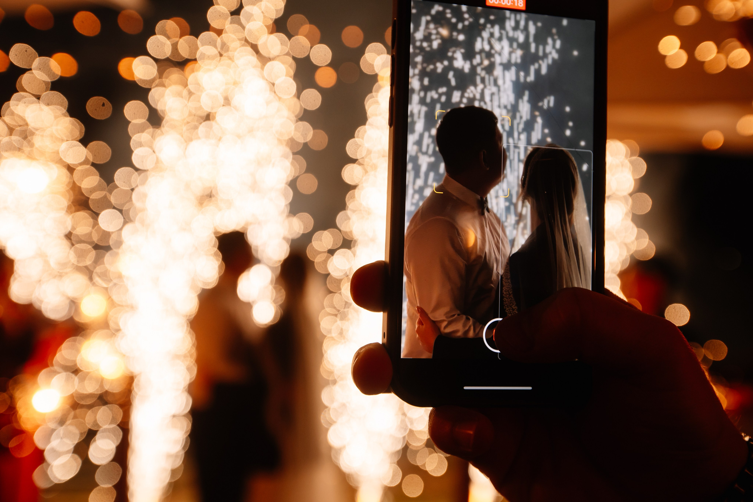 Свадьба Мергена и Алтаны. Свадебный и семейный фотограф в Элисте Лиджик Сарлов