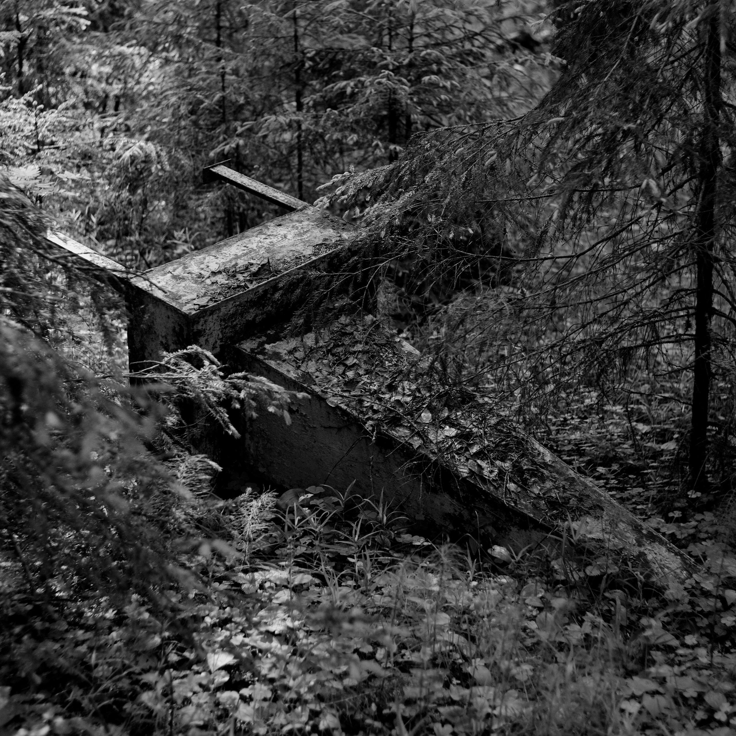 Память. Фотограф Александр Тихонов