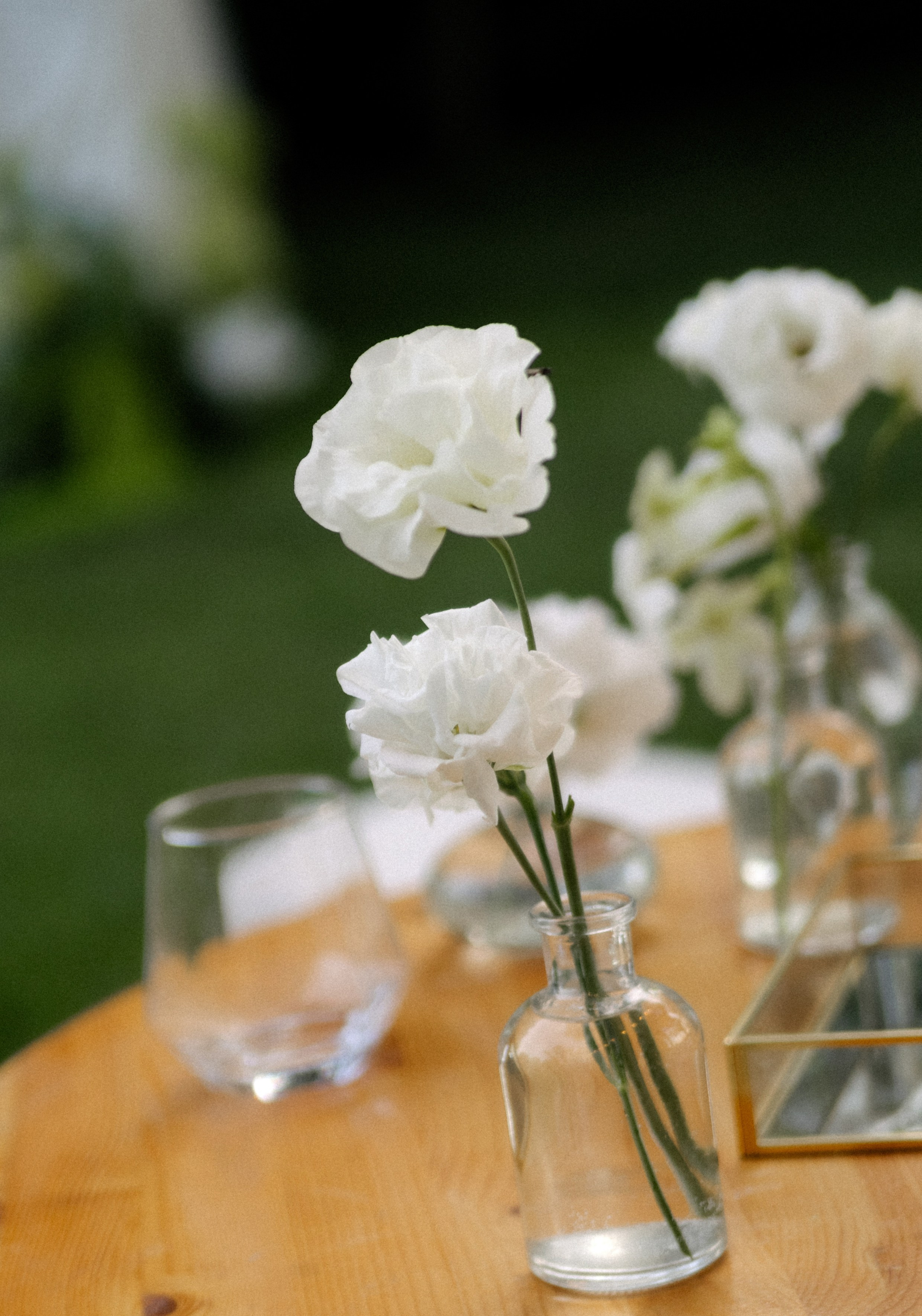 B+L. Свадебный и семейный фотограф Юлия Сафронова