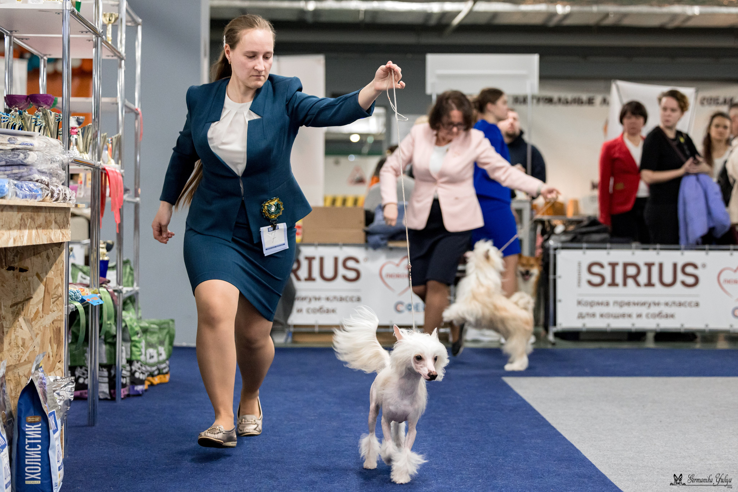 Сфера 28.01. и 4.02.2024. Фотограф-анималист Юлия Германика