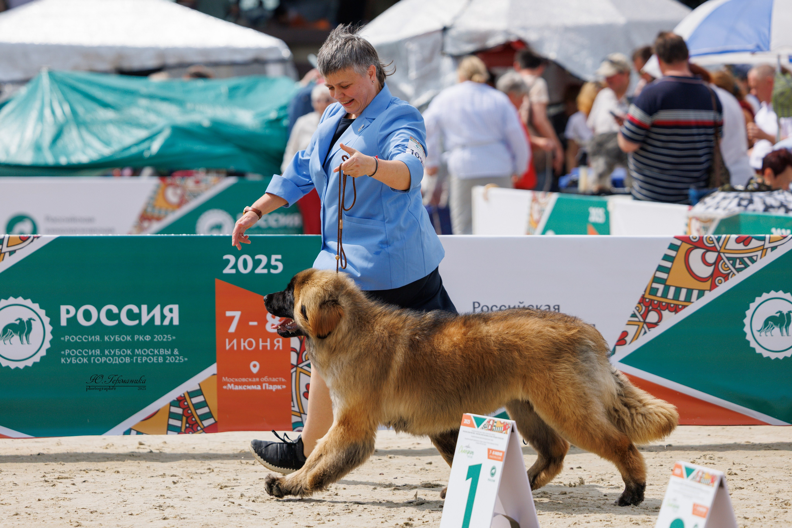 РОССИЯ 7-8.06.2025. Фотограф-анималист Юлия Германика