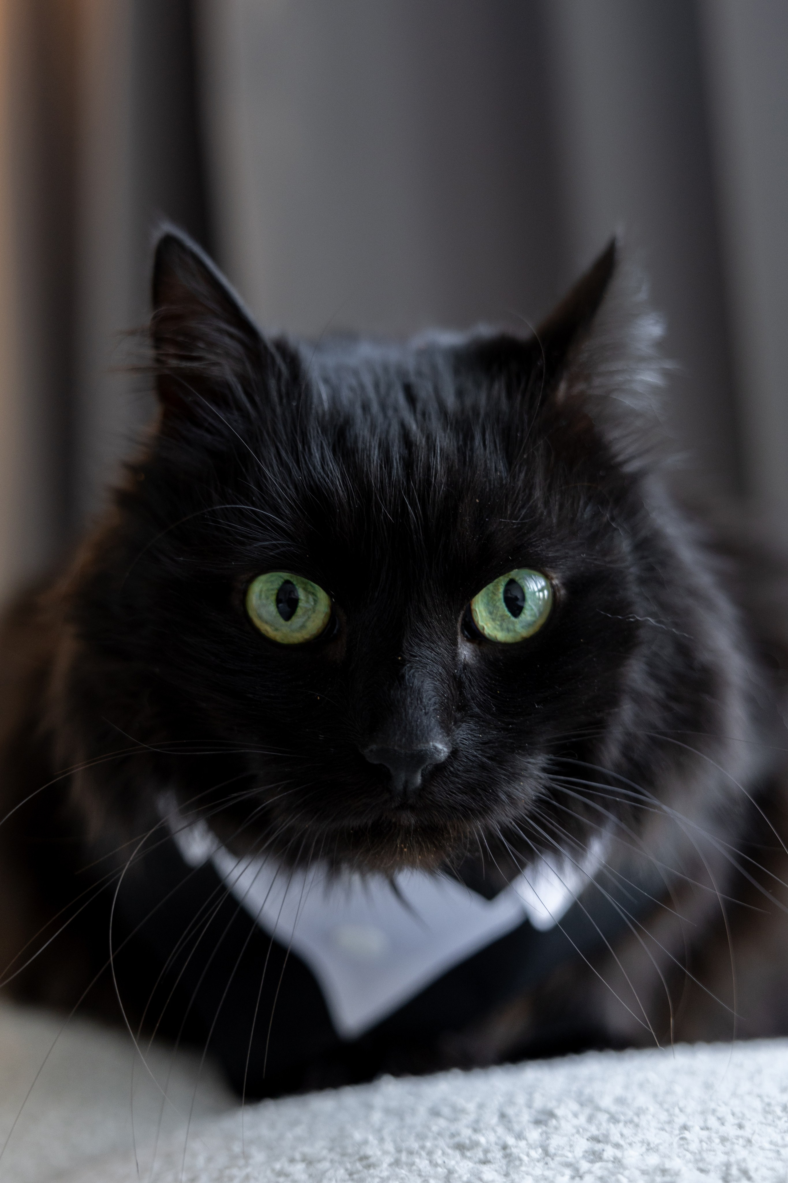 Егорка. Свадебный фотограф Витебск Минск